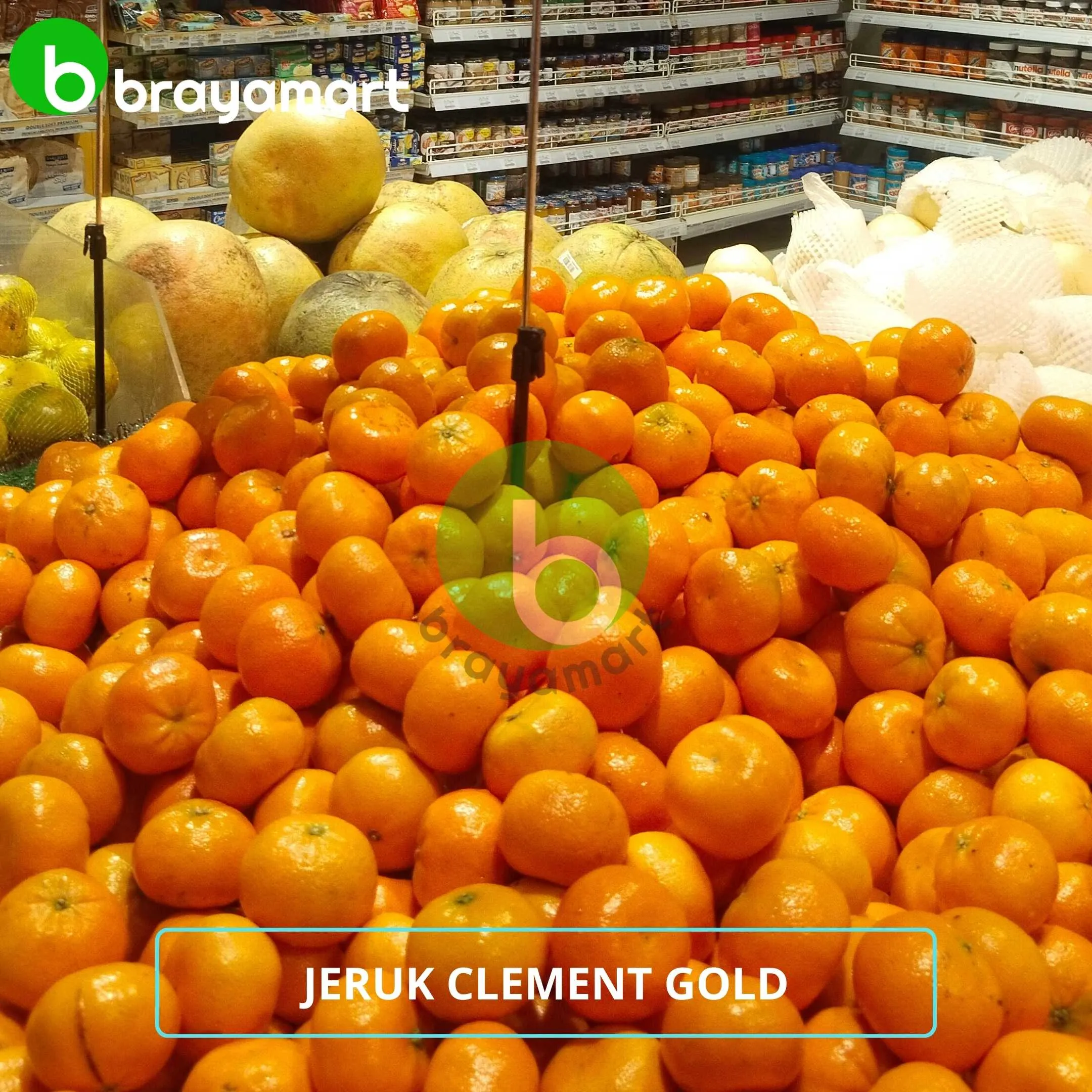 Jeruk Clement Gold