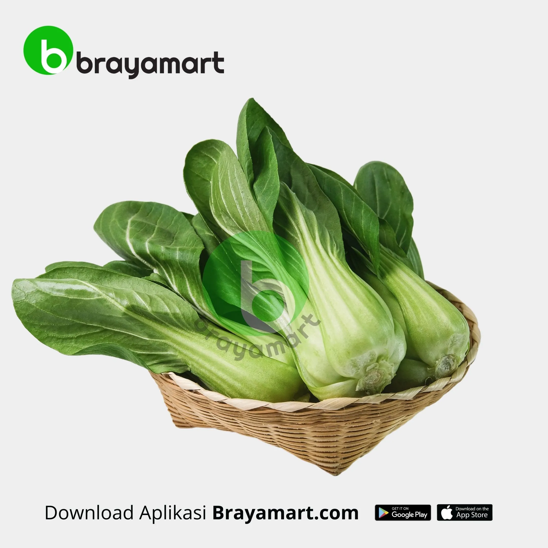 Pakcoy (Rky Fresh)