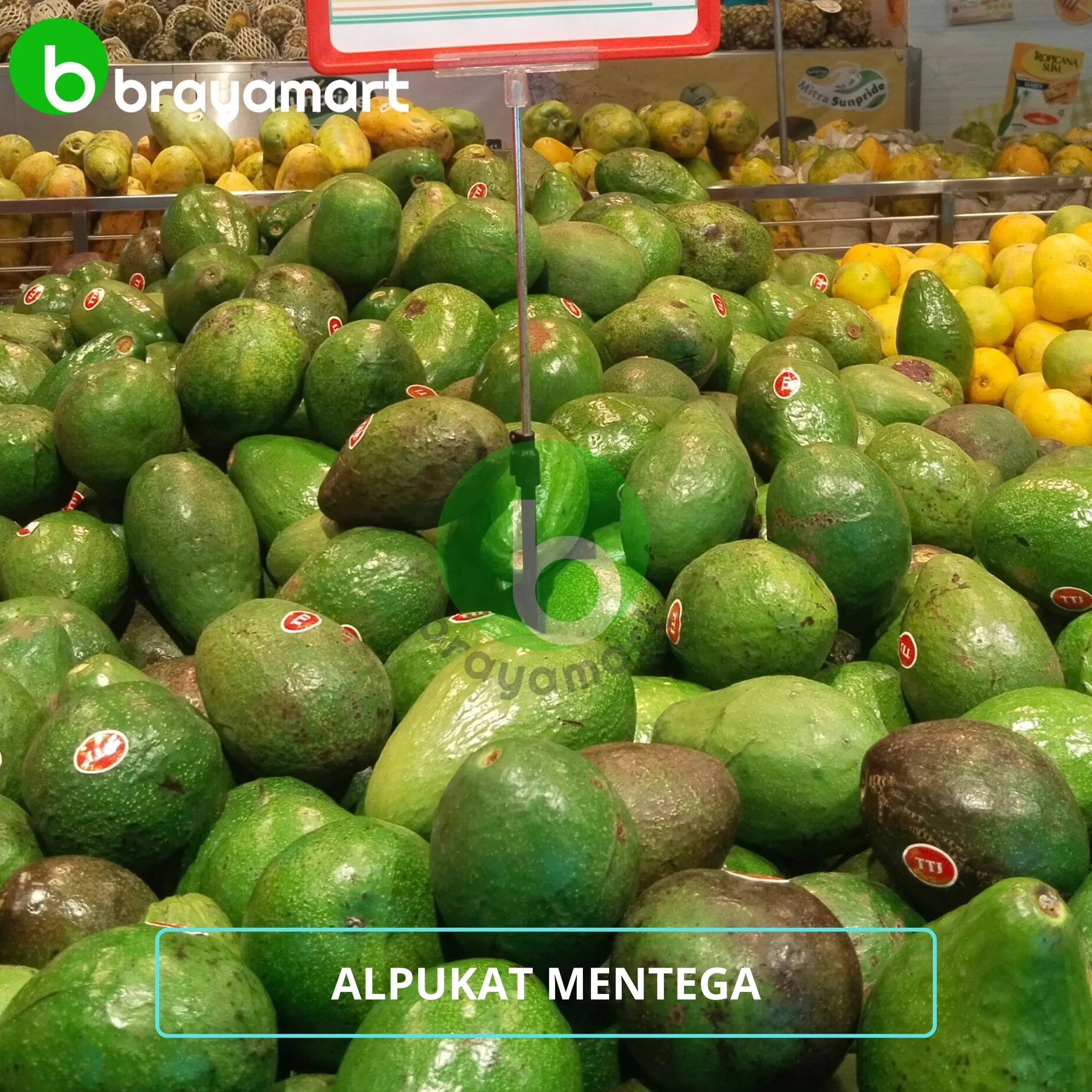 Alpukat Mentega 100 gram