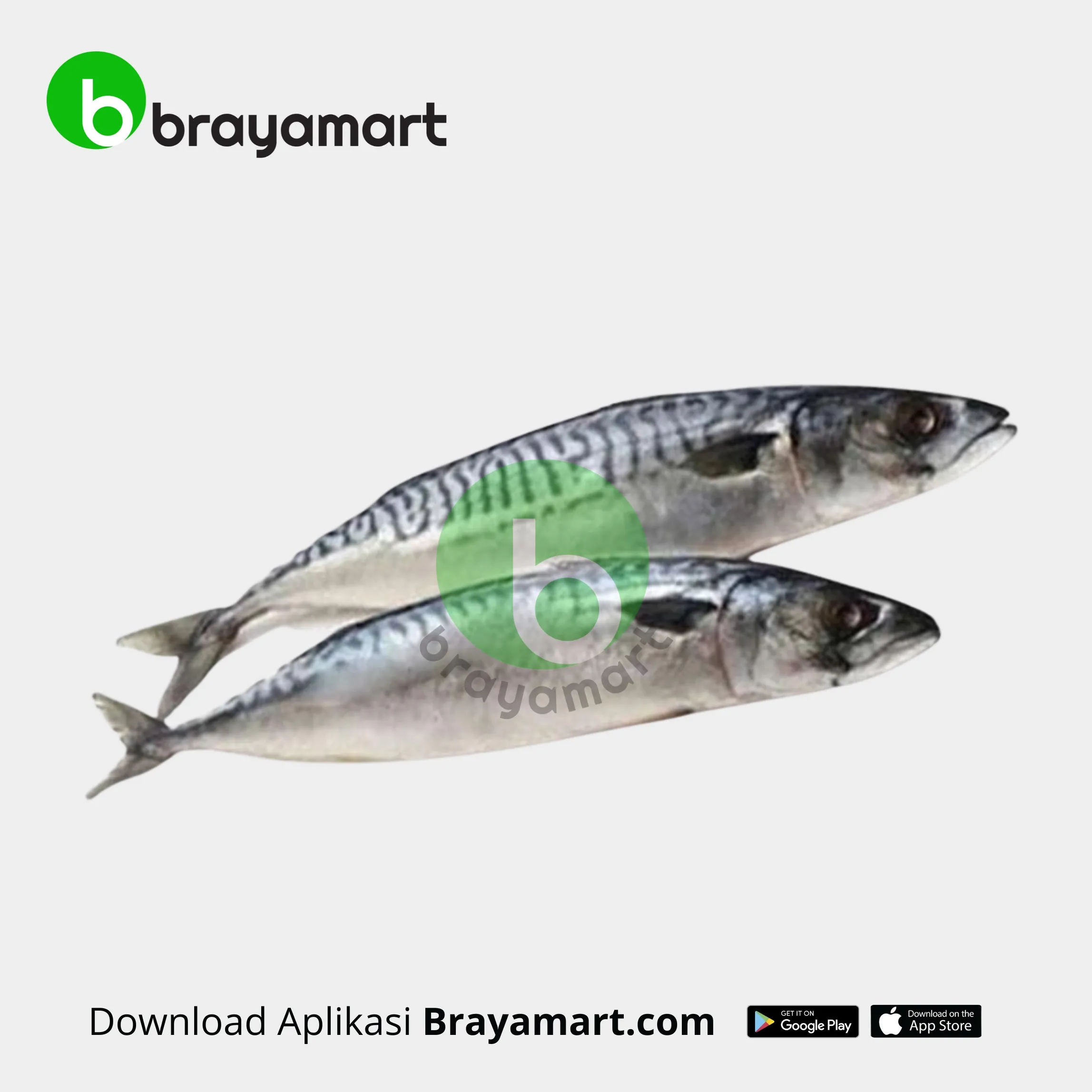 Ikan Salam (1 kg)