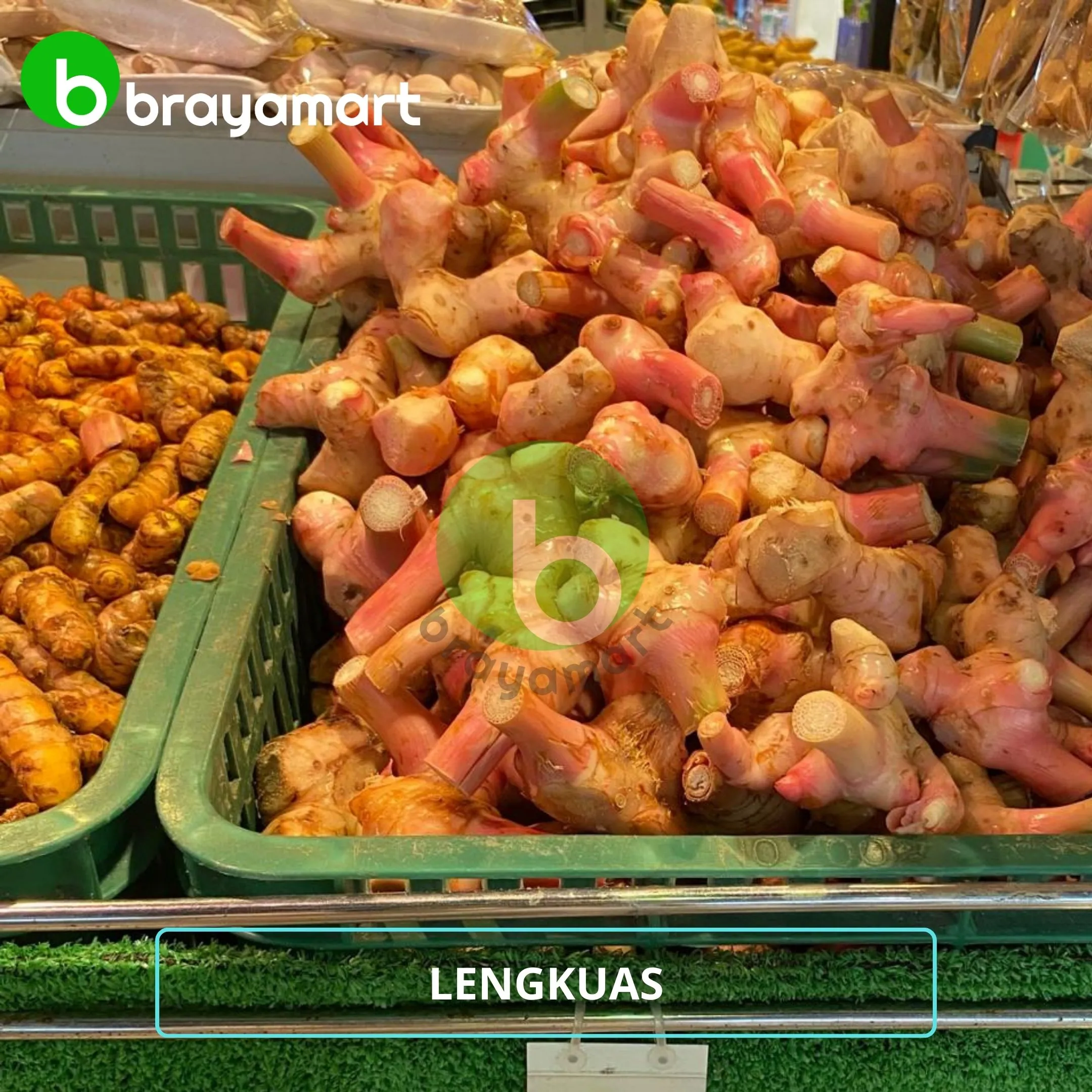 Lengkuas (100 gr)