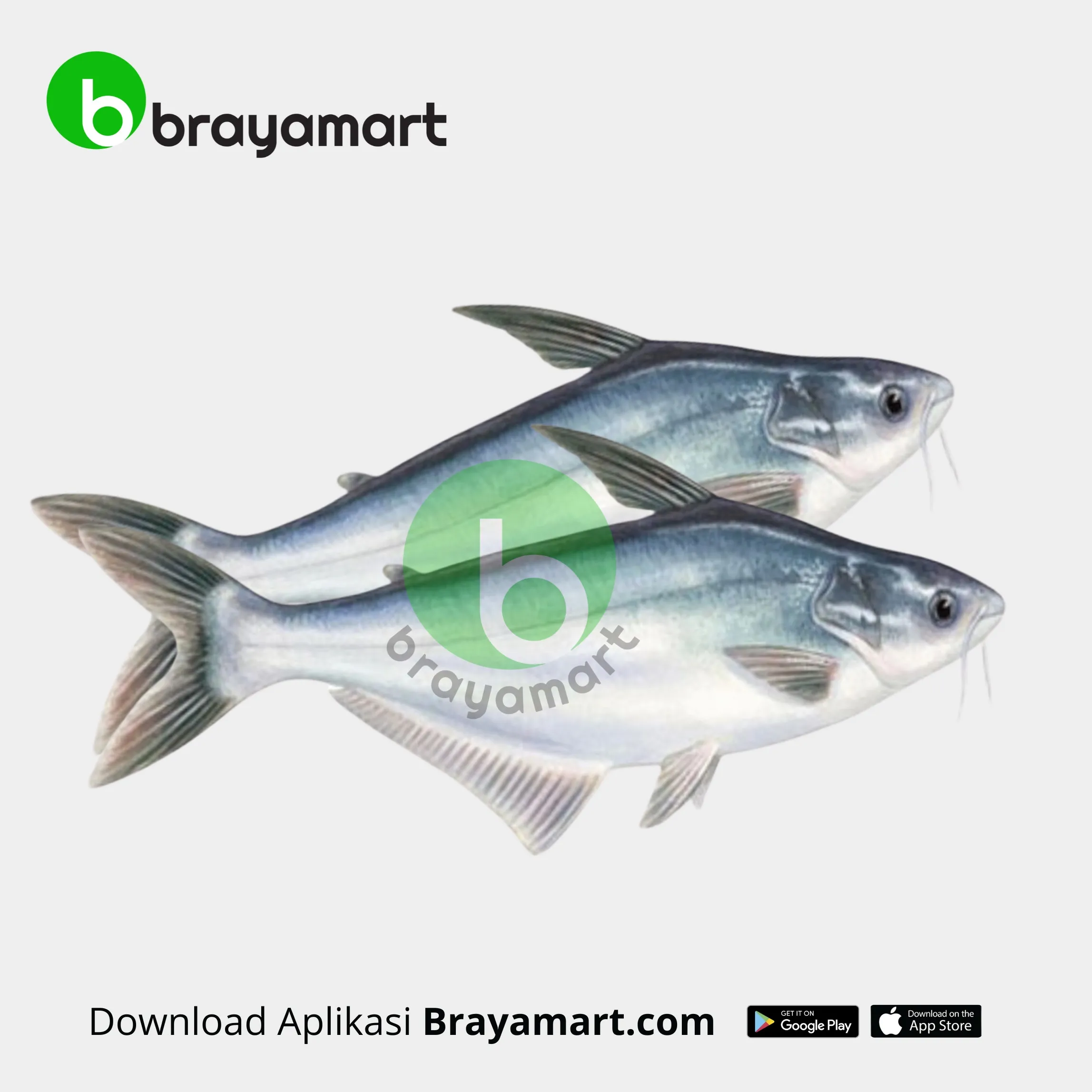 Ikan Patin (1 kg)