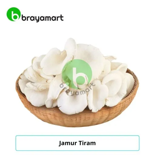 jamur tiram