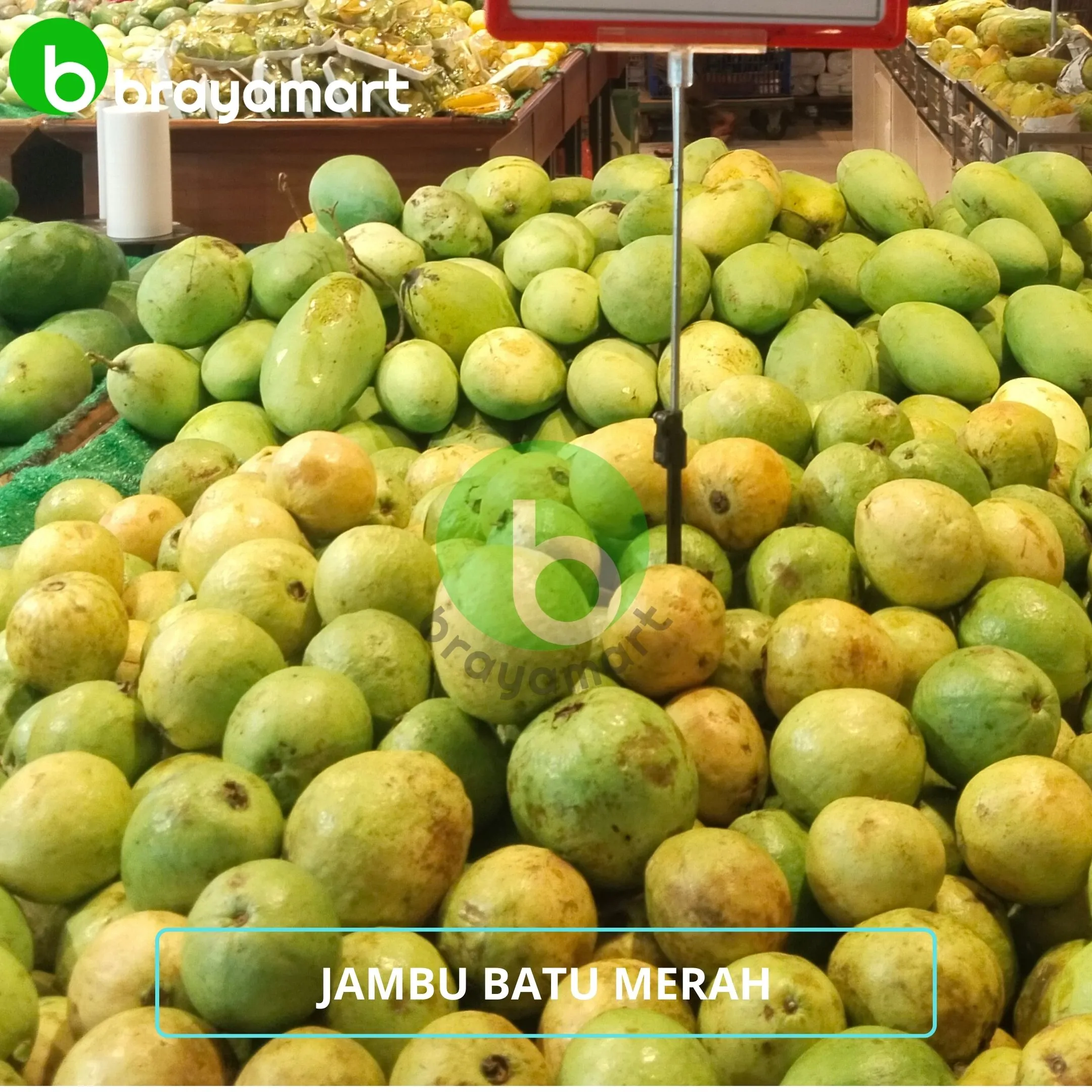 Jambu Batu Merah