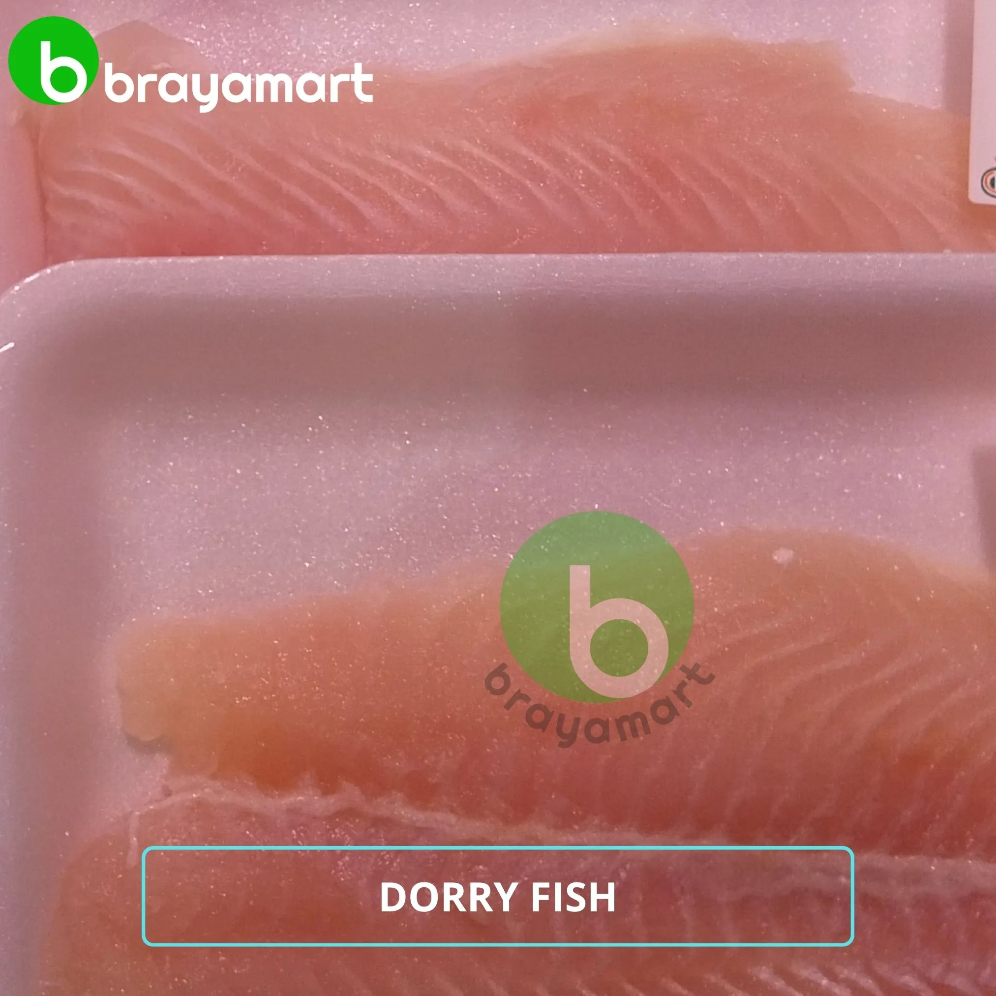 DORRY FISH