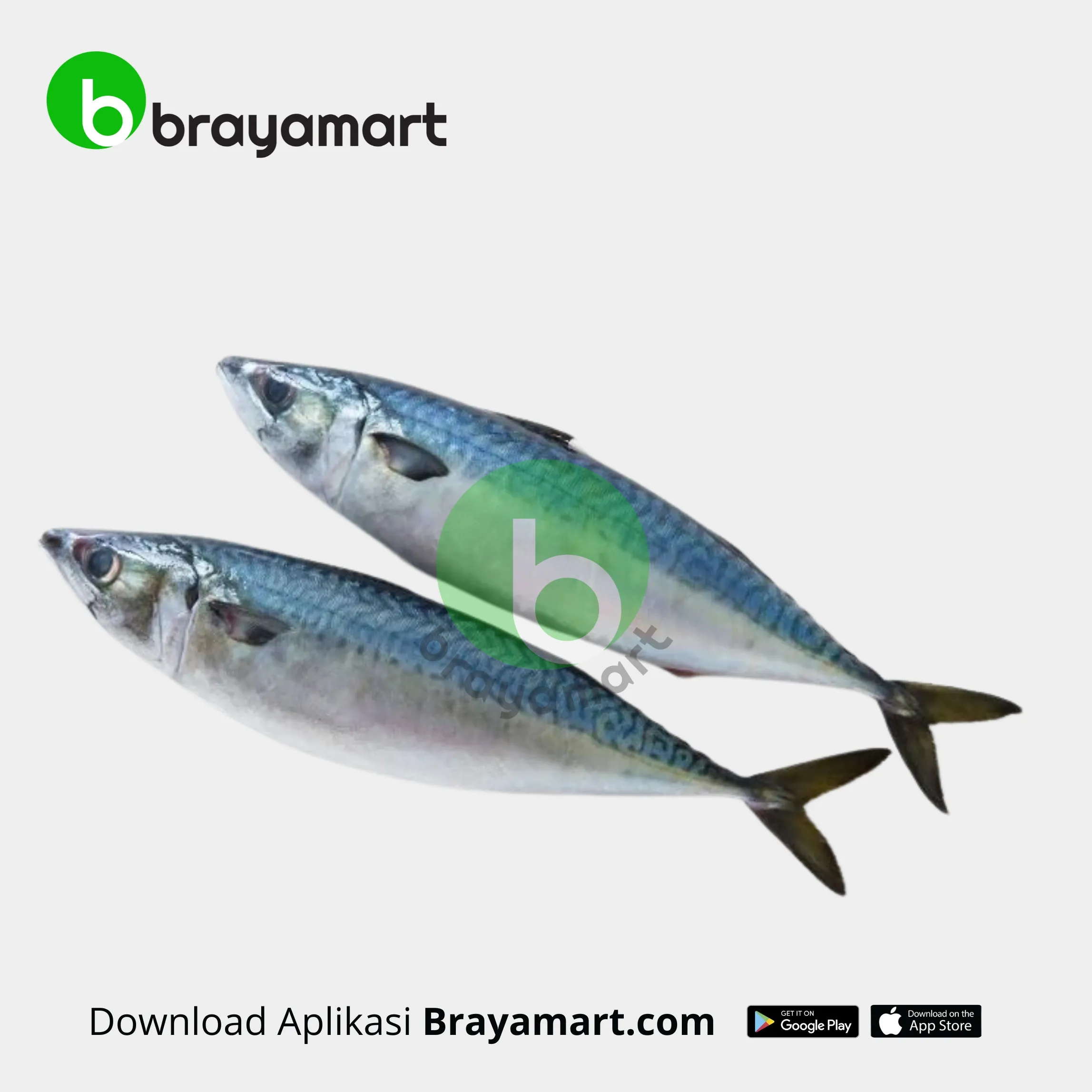 Ikan Tenggiri (1 Kg)