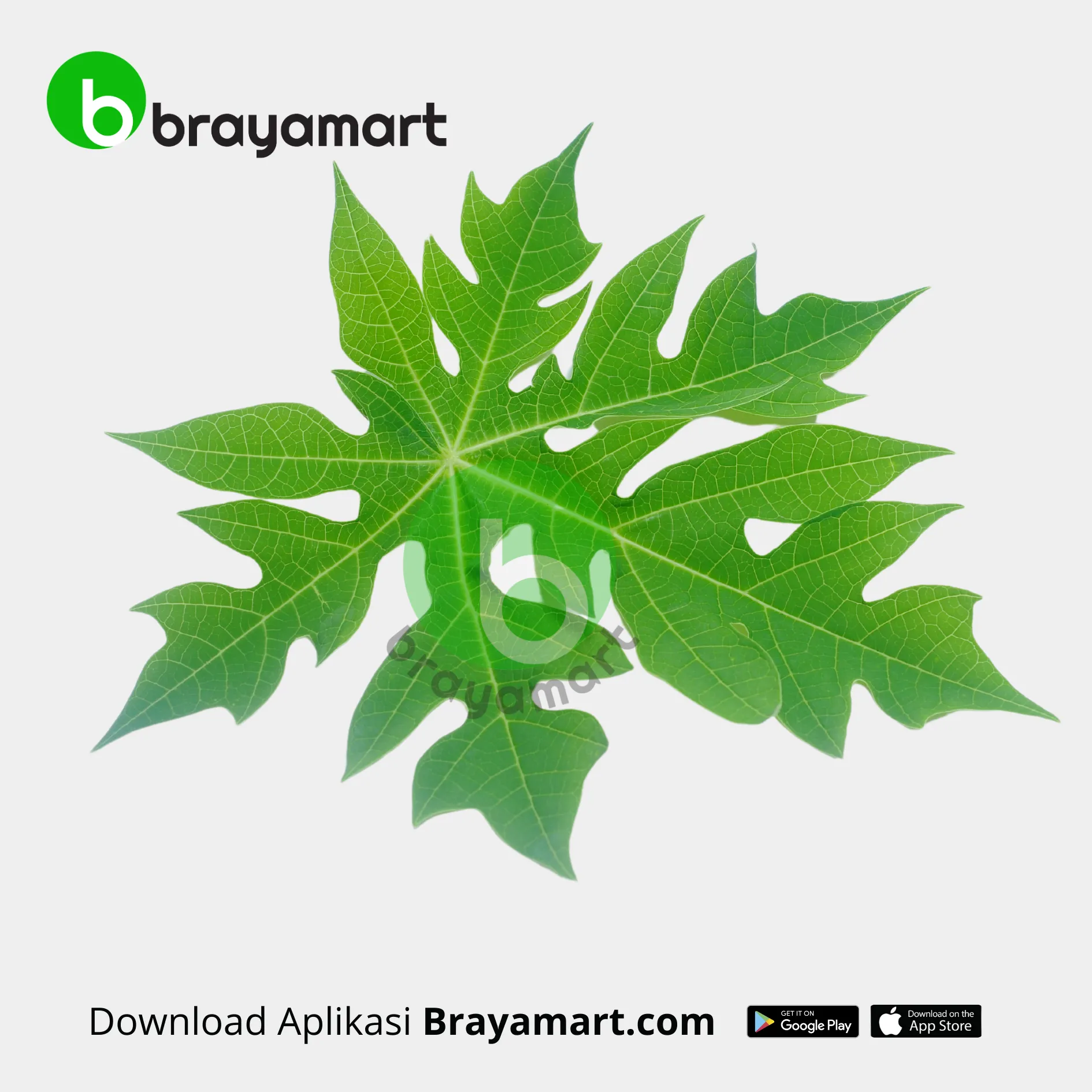 Daun Pepaya (1 Ikat)