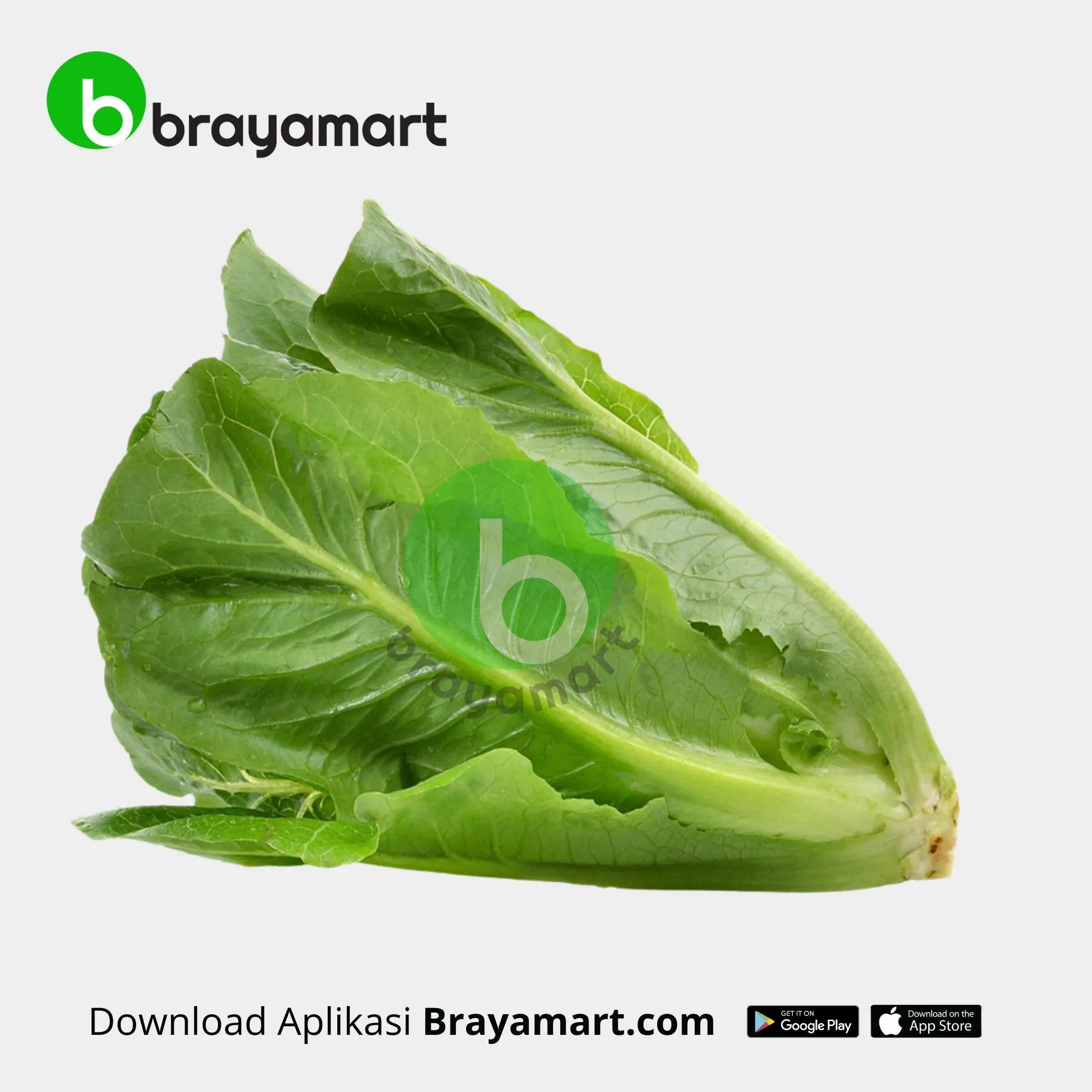 Lettuce (Taniku)