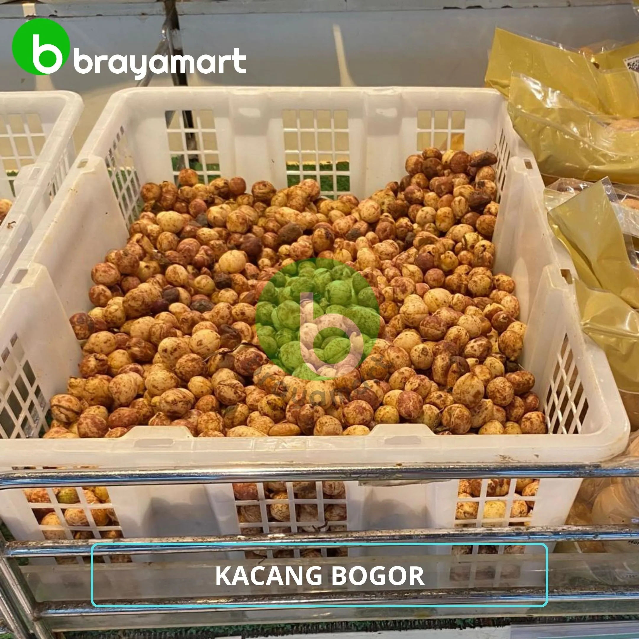 Kacang Bogor