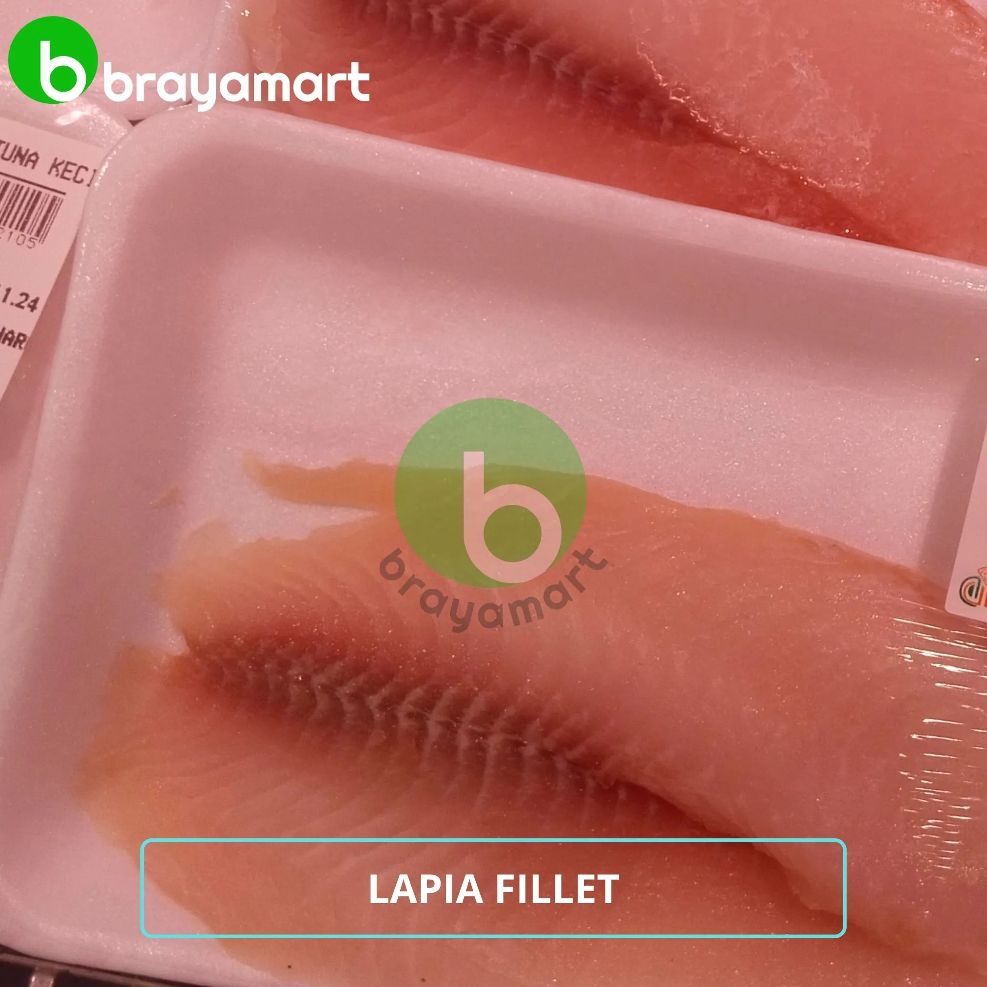 LAPIA FILLET