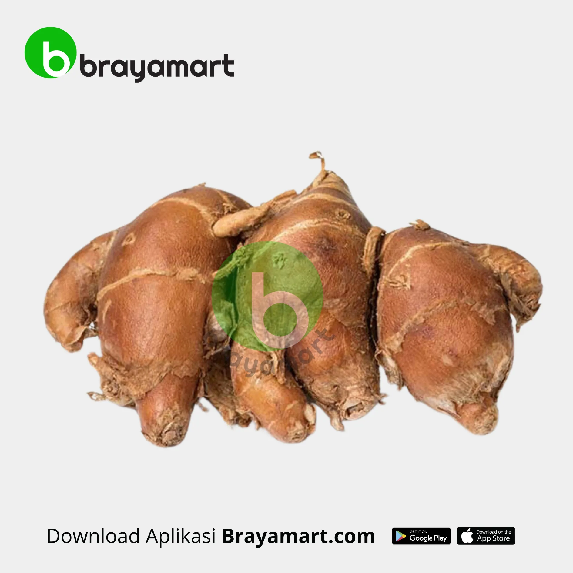 Kencur (100 gr)