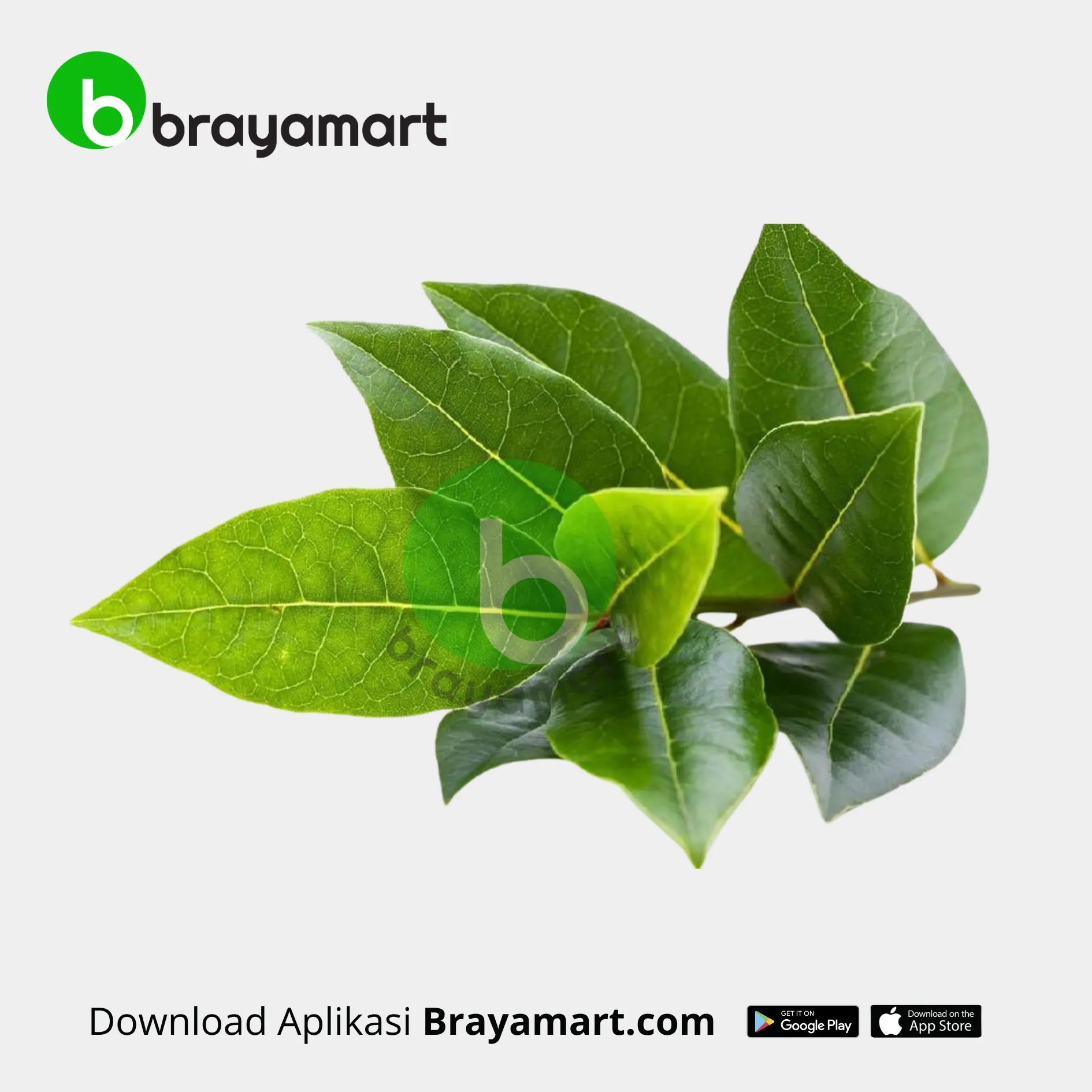 Daun Salam (1 Ikat)