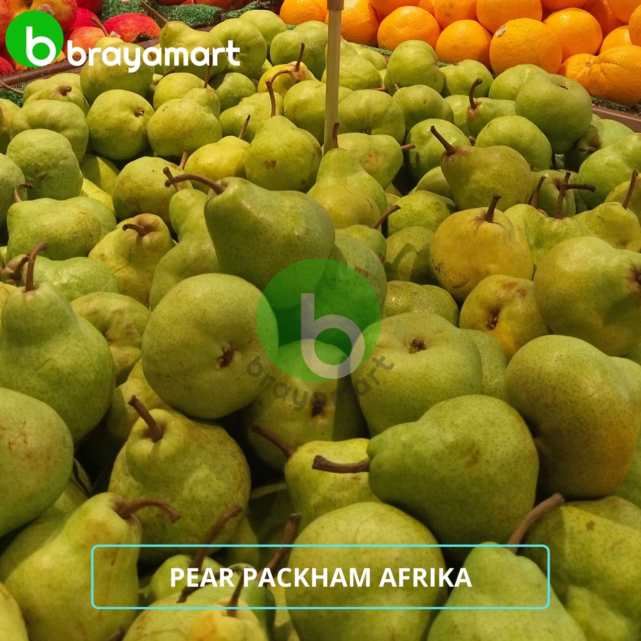 Pear Packham Afrika