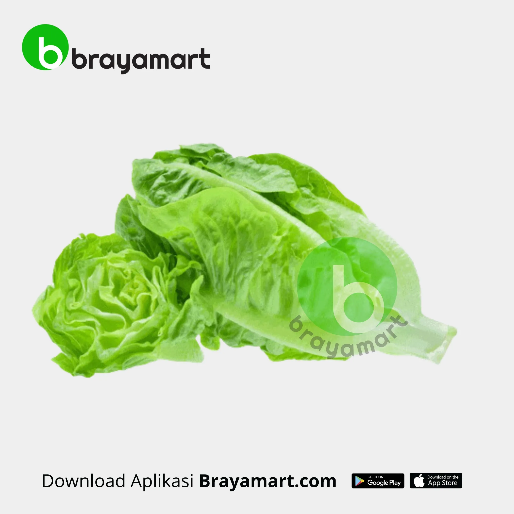 mini romaine 250gr