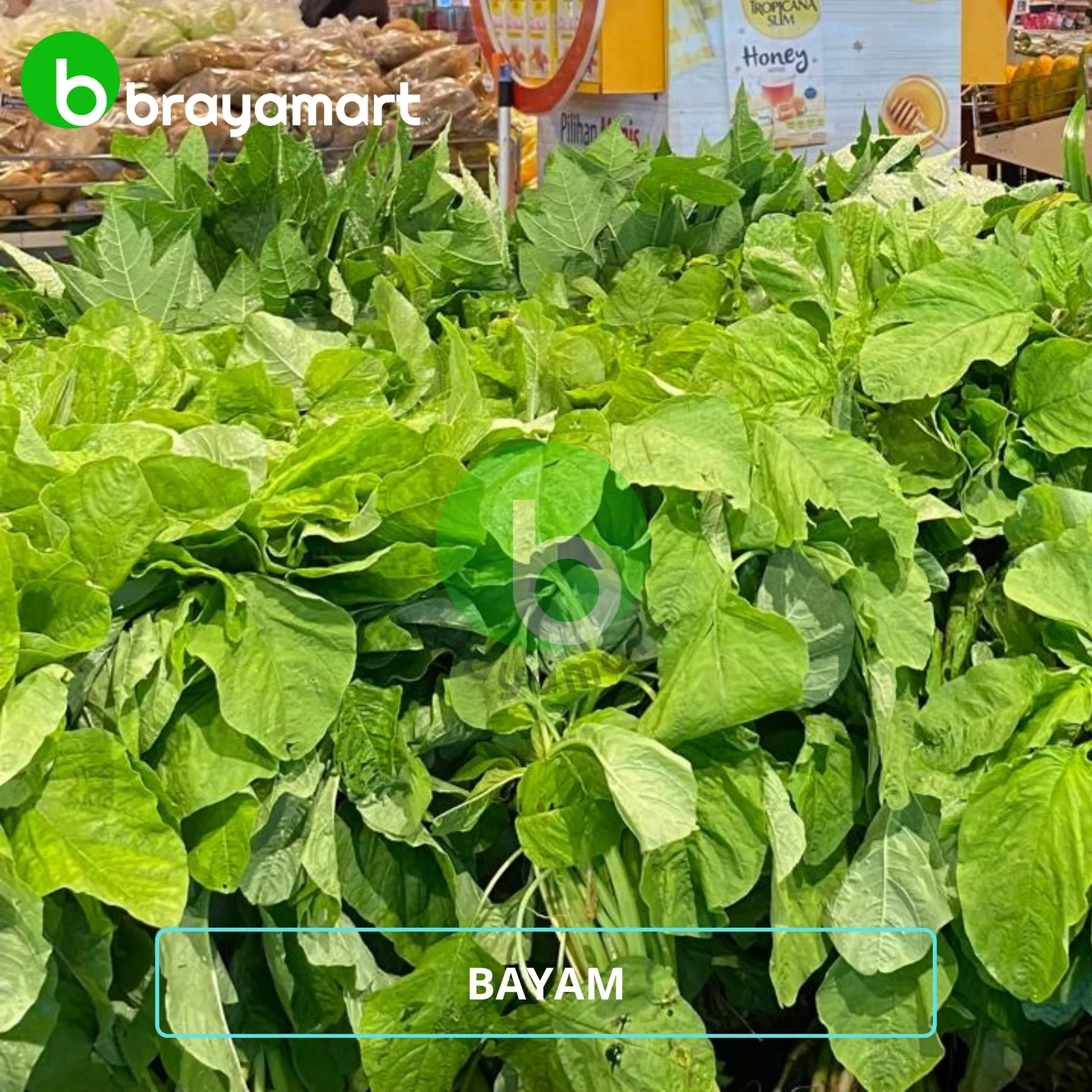 Bayam