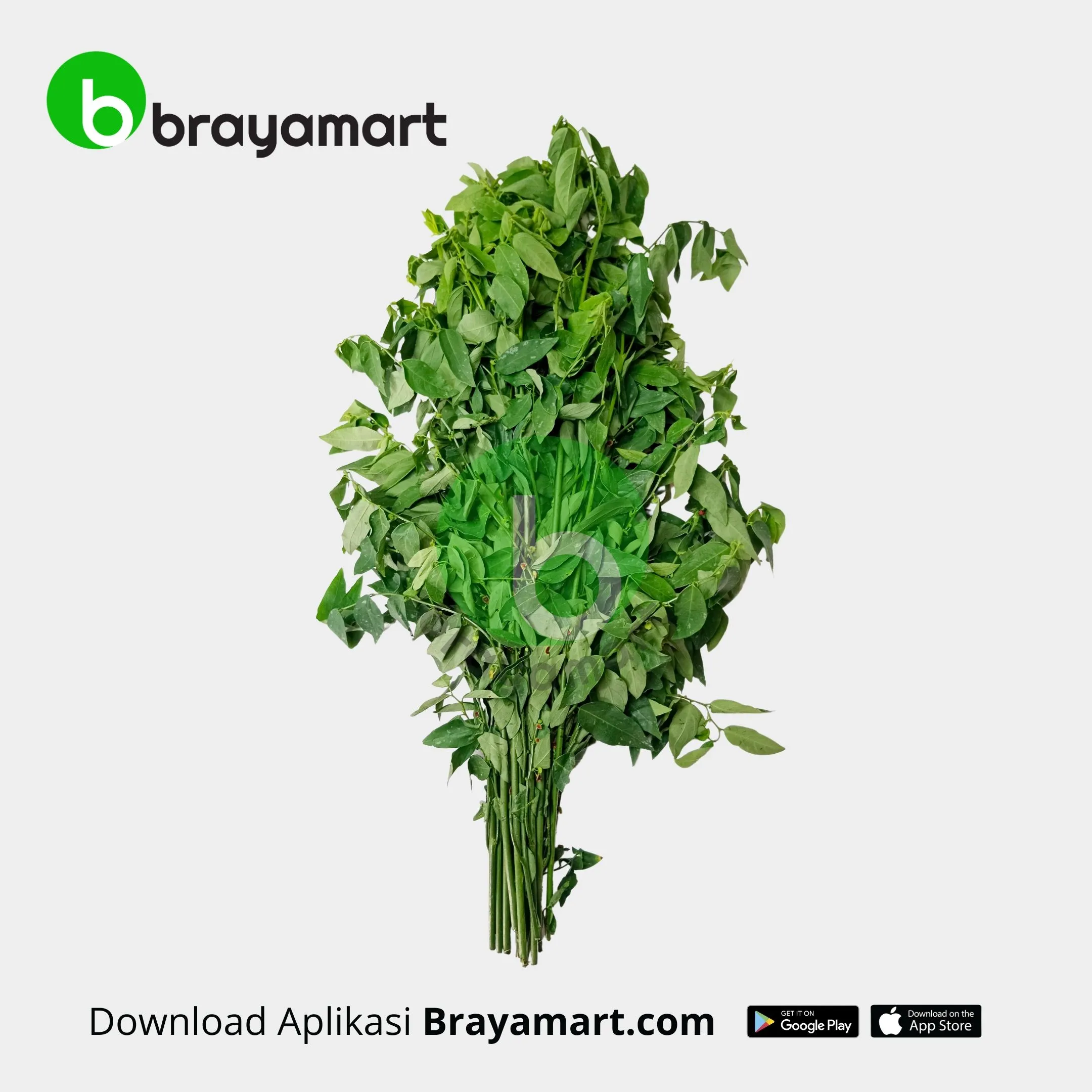 Daun Katu