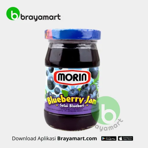 MORIN BLUEBERRY JAM 170GR