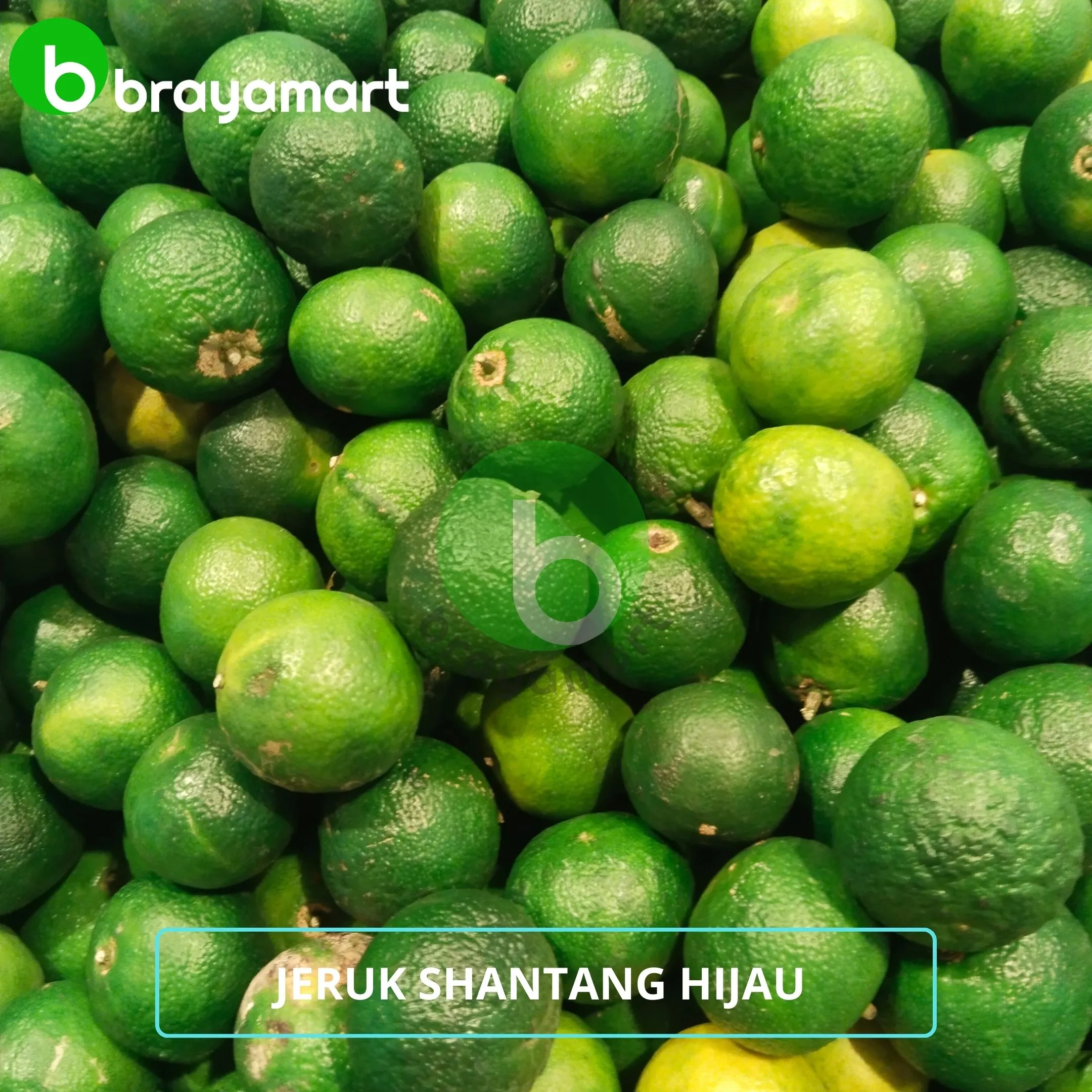 Jeruk Shantang HIjau