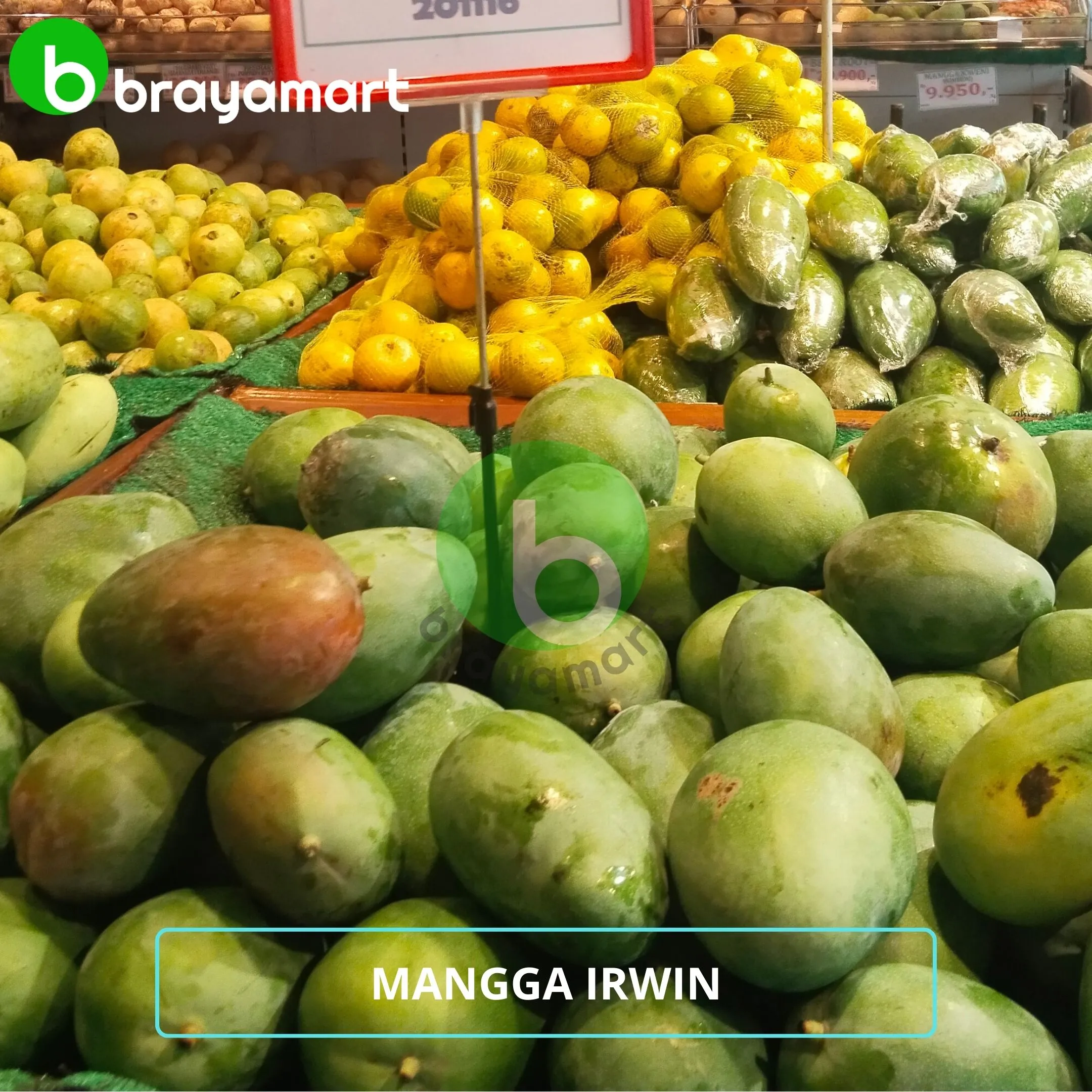 Mangga Irwin