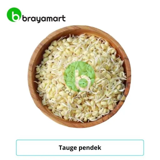 tauge pendek