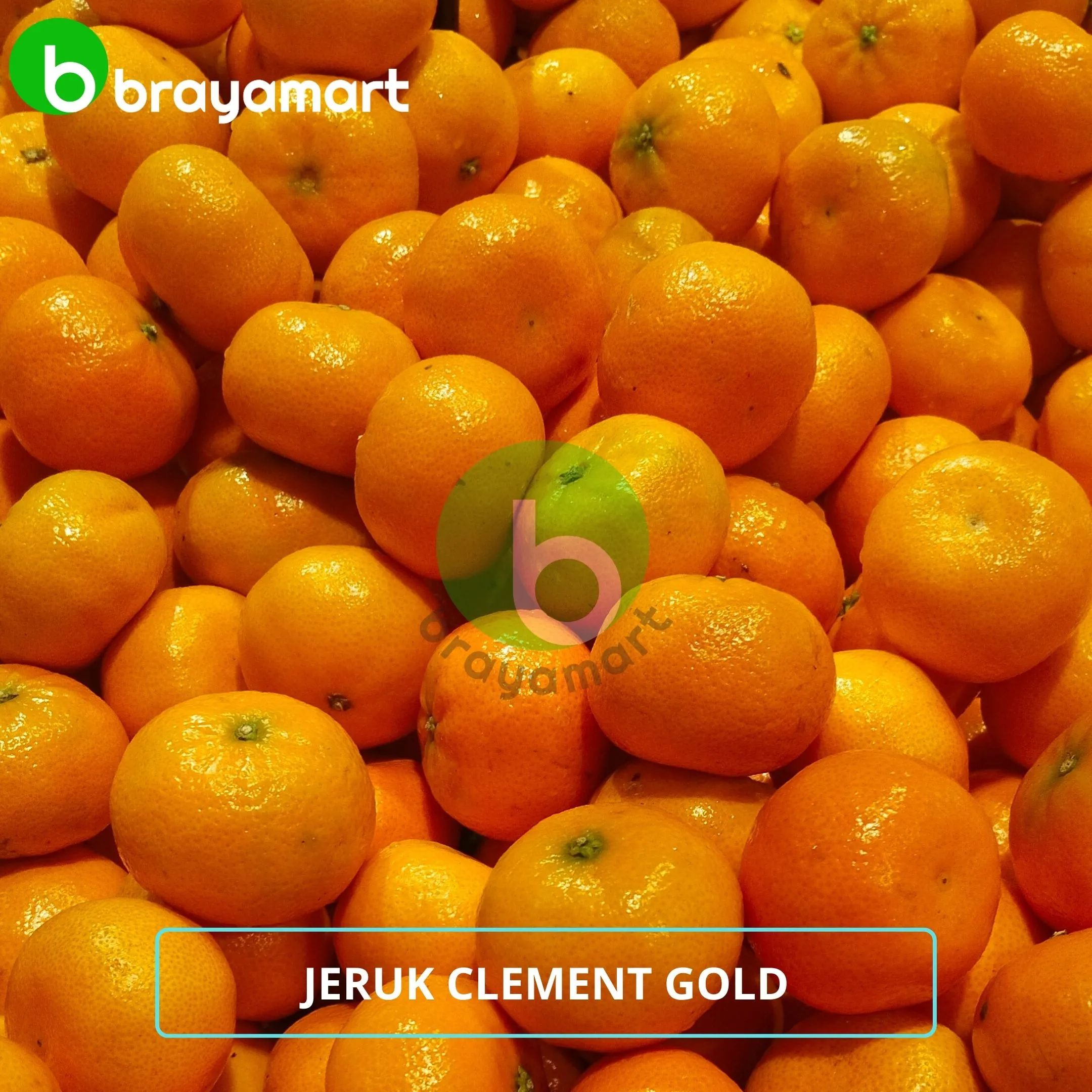 Jeruk Clement Gold