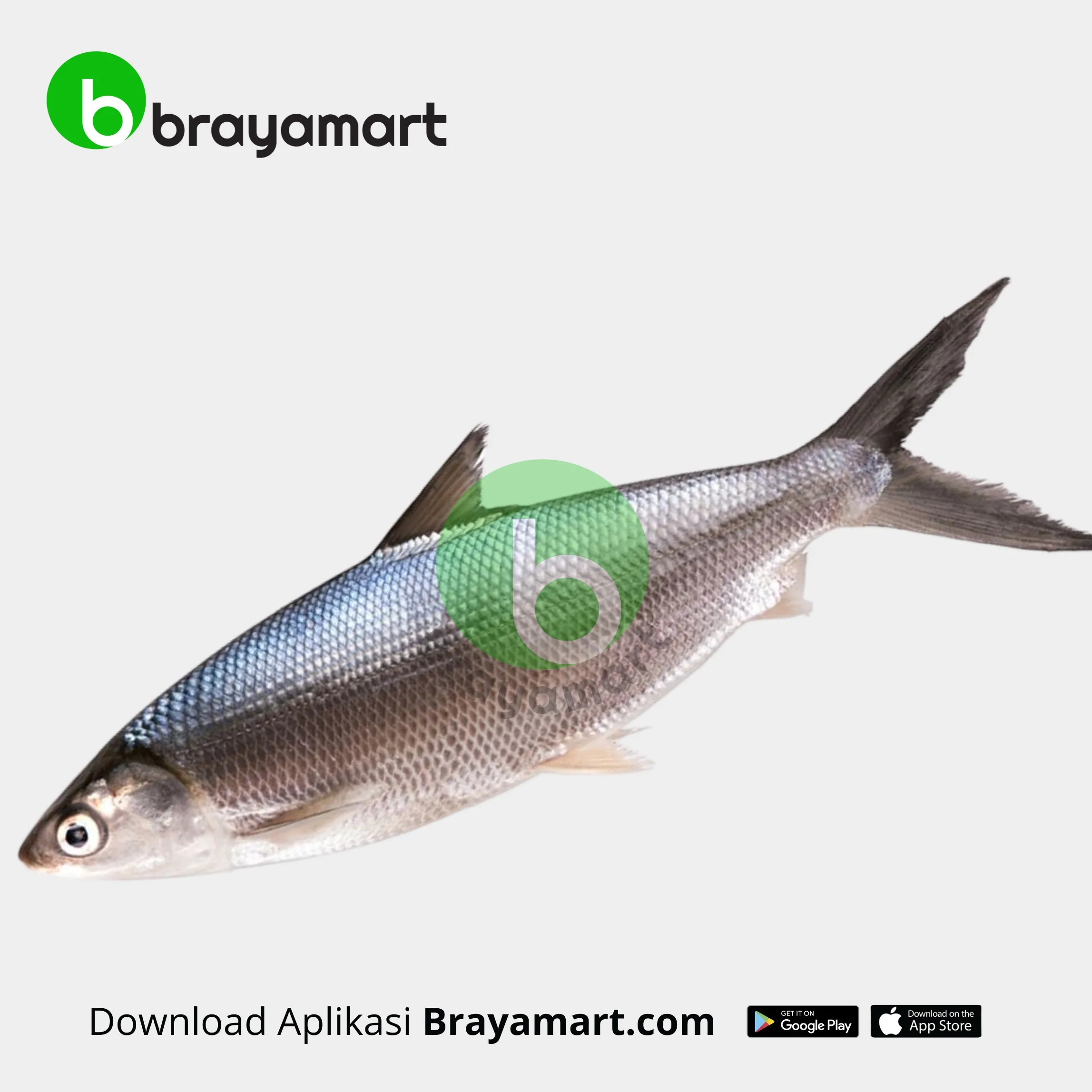 Ikan Bandeng 1 KG