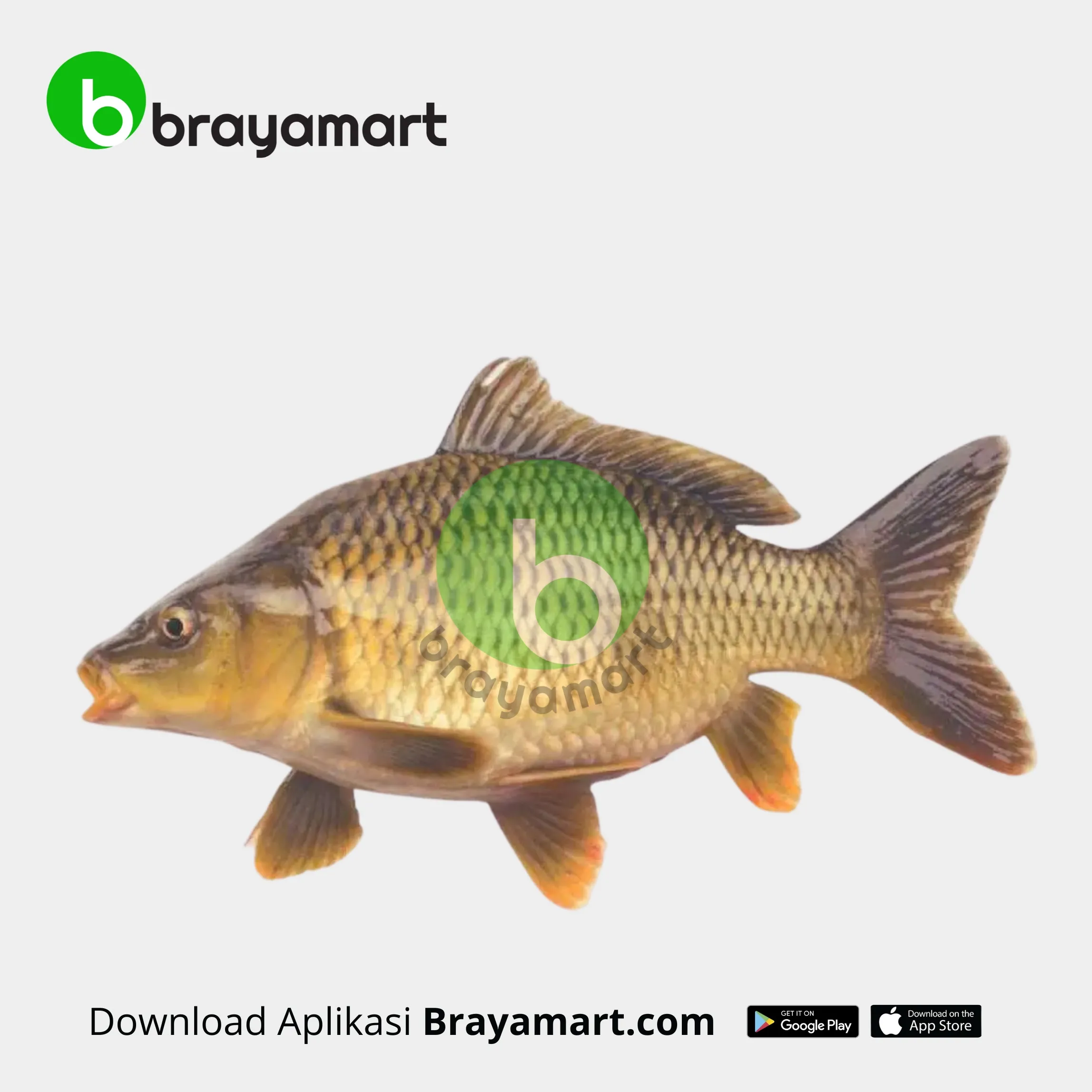 Ikan Mas (1 Kg)