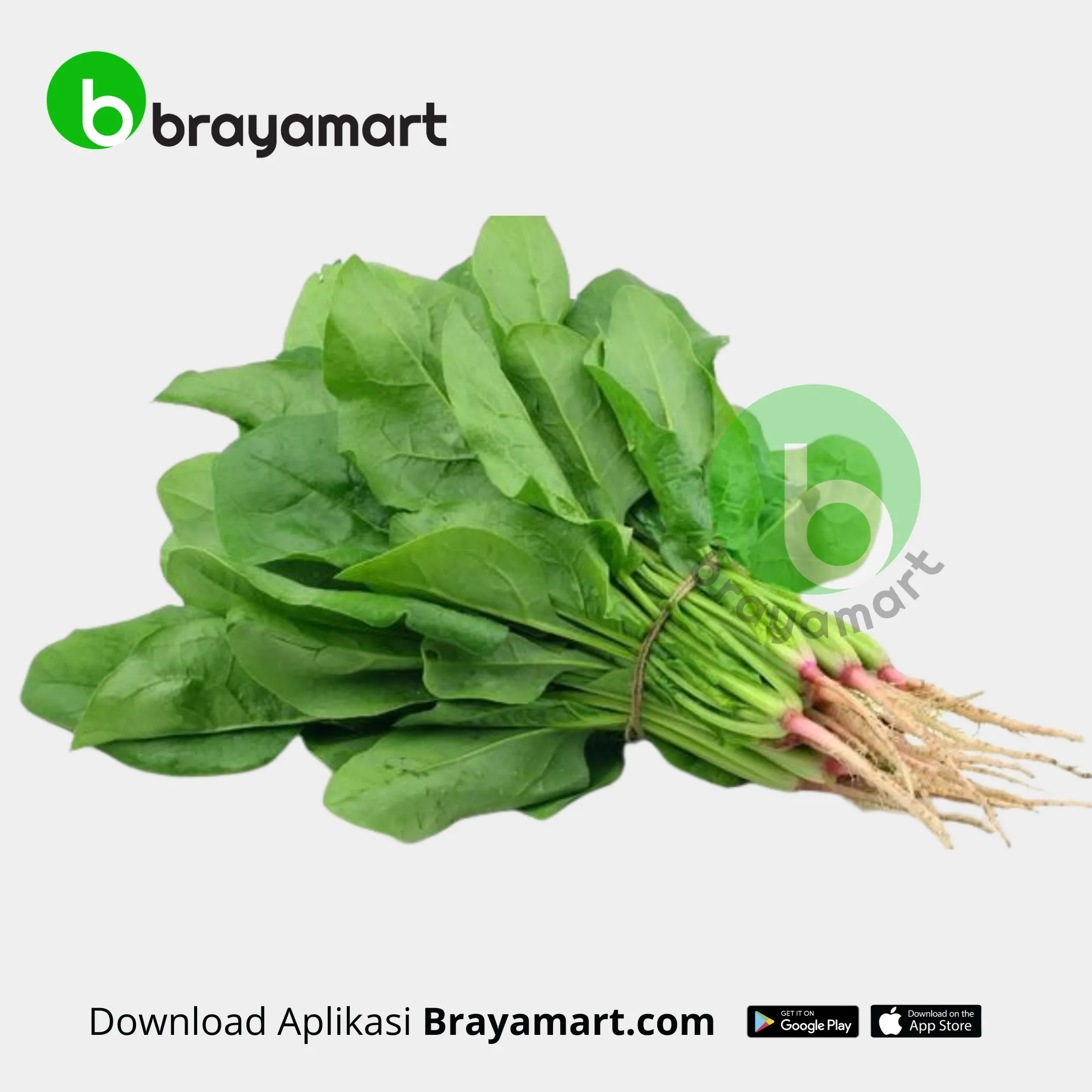Bayam Hijau (Amazing)