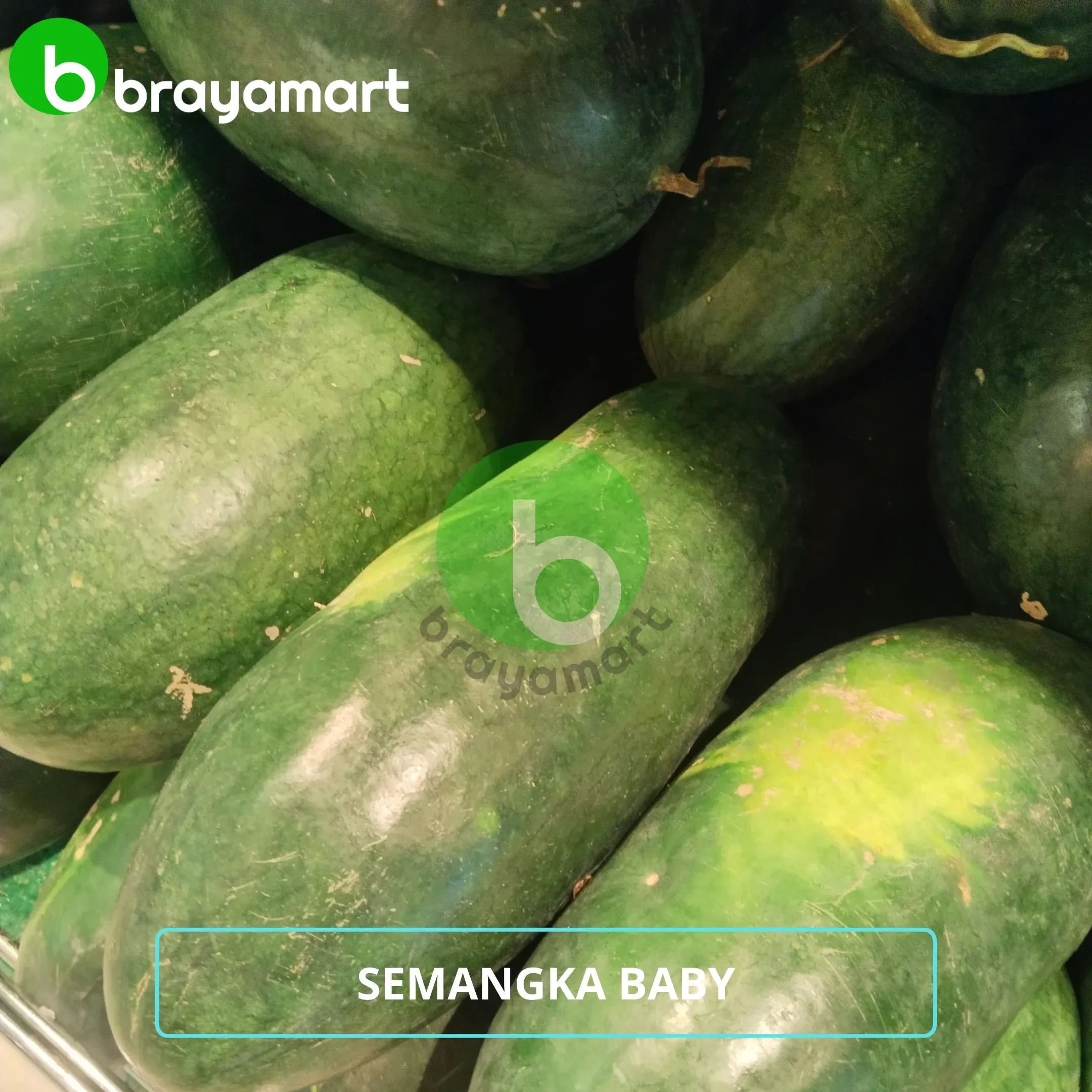 Semangka Baby