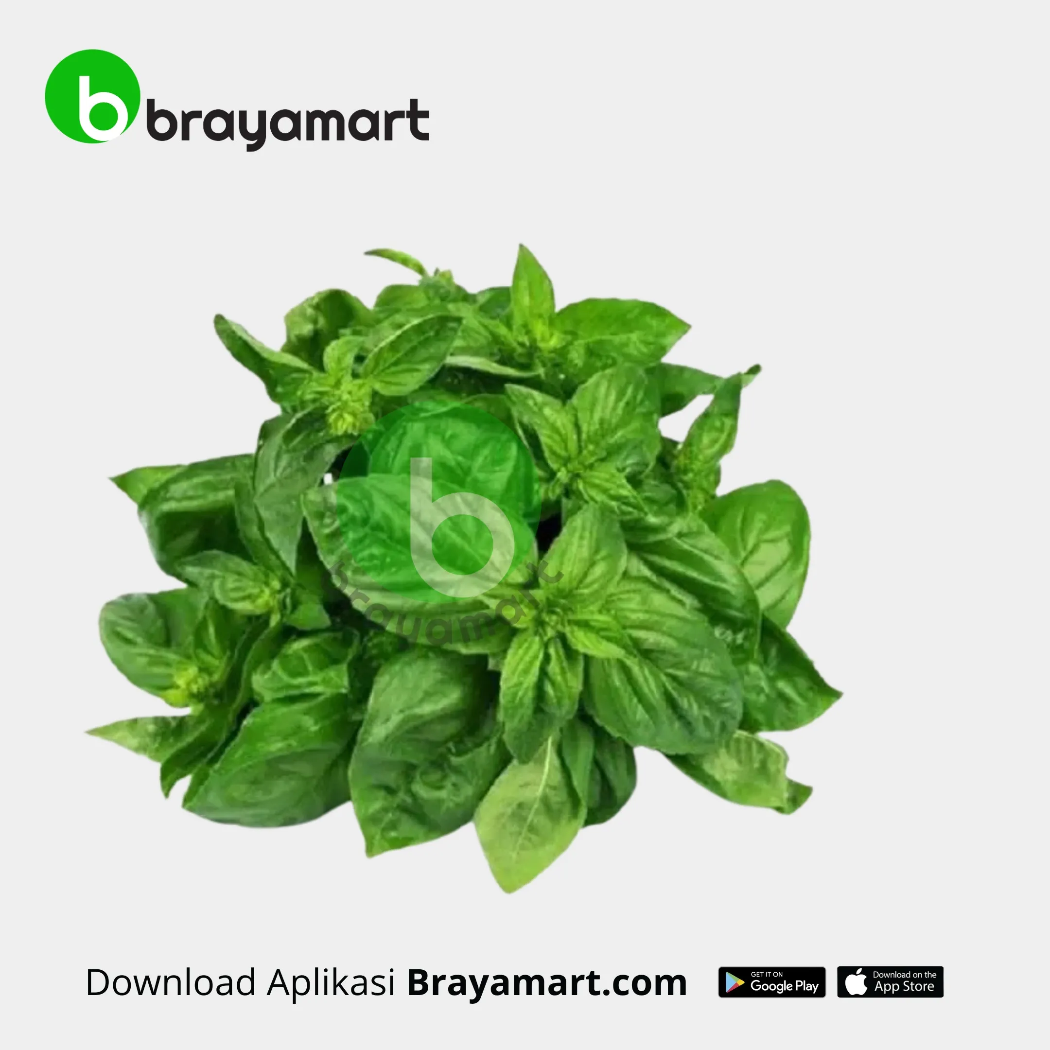 'Basil (Living Organic)'