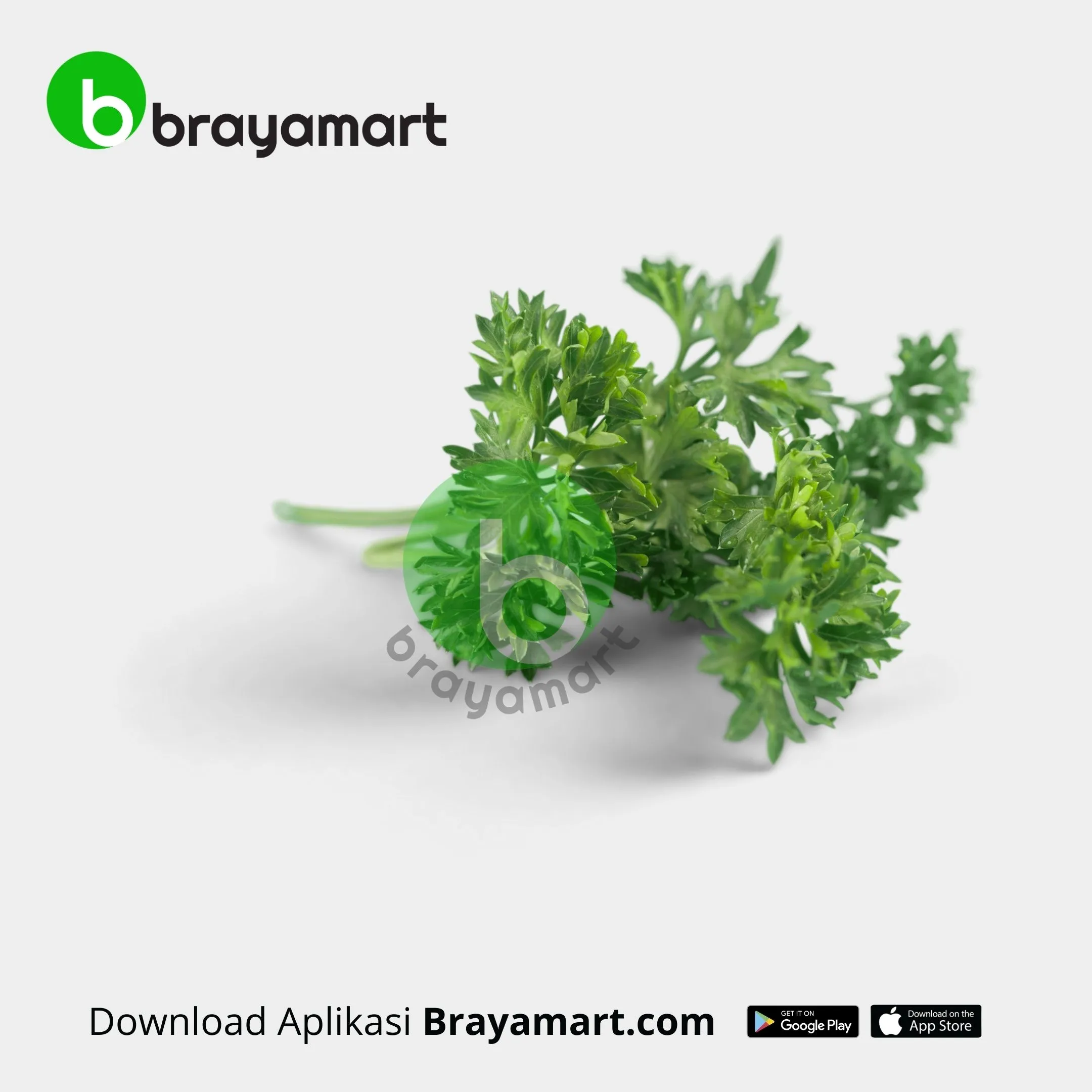 'Parsley (Rky Fresh)'