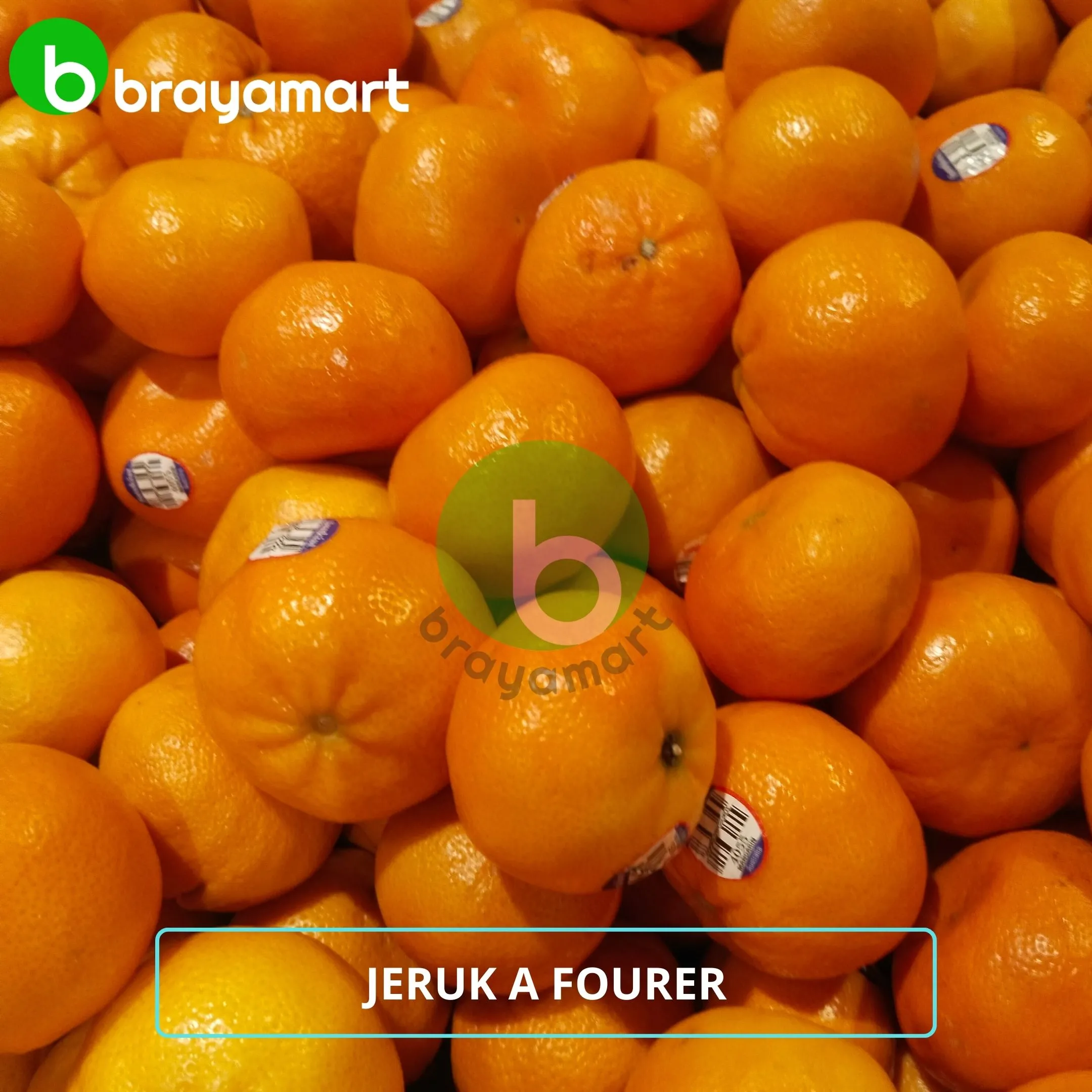 Jeruk A Fourer