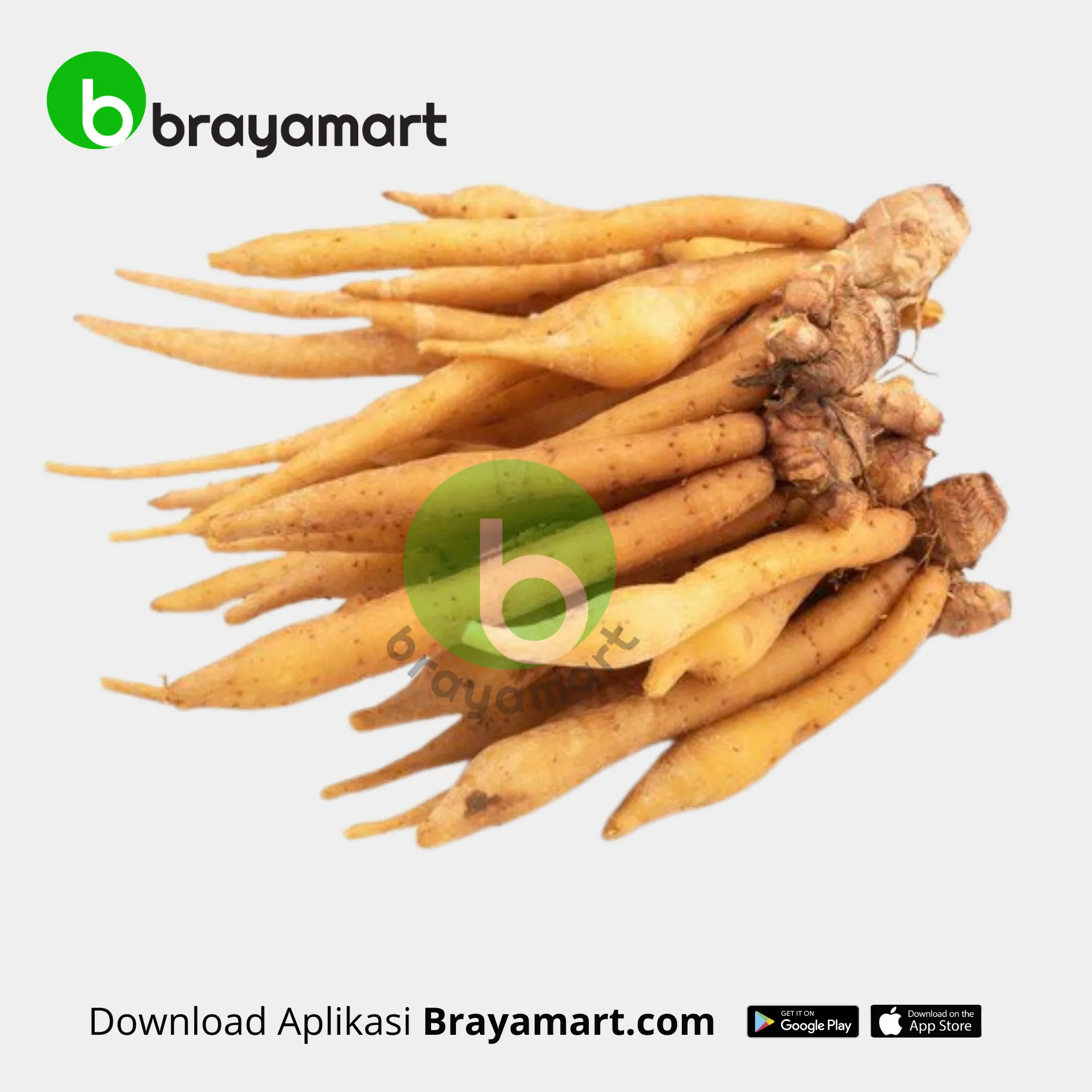 Temu Kunci (100 gr)