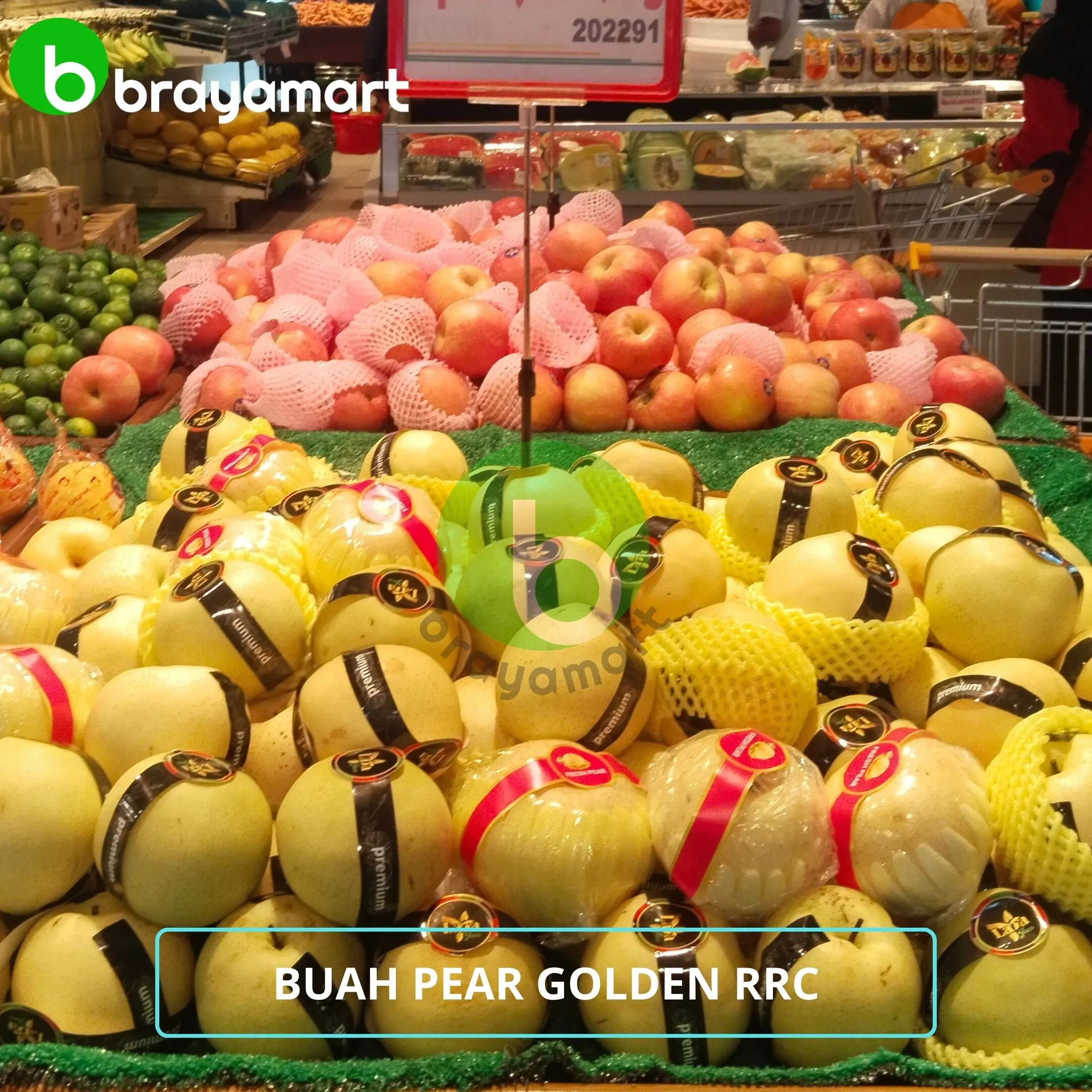 Buah Pear Golden RRC