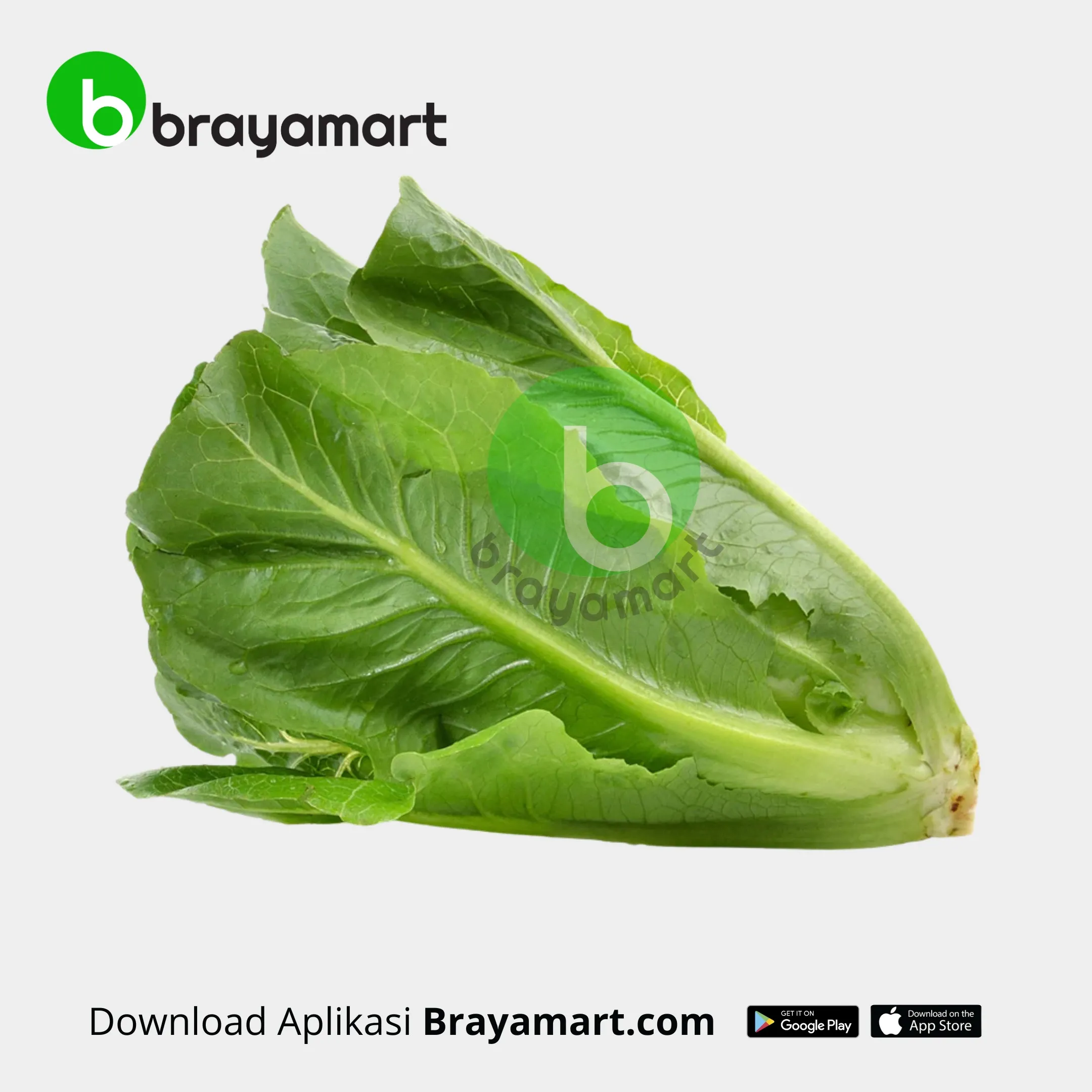 Romaine Lettuce (Amazing)