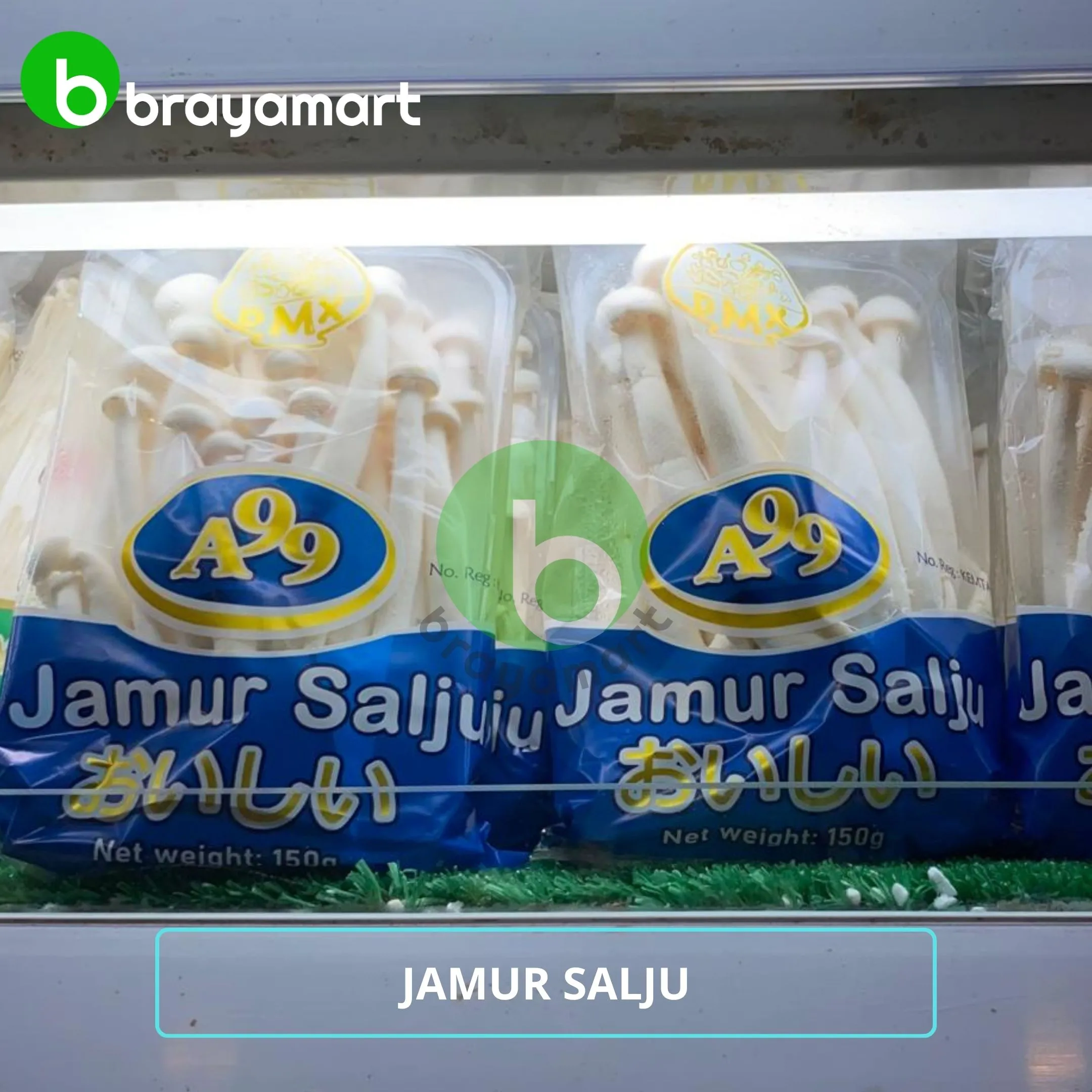 Jamur Salju A99