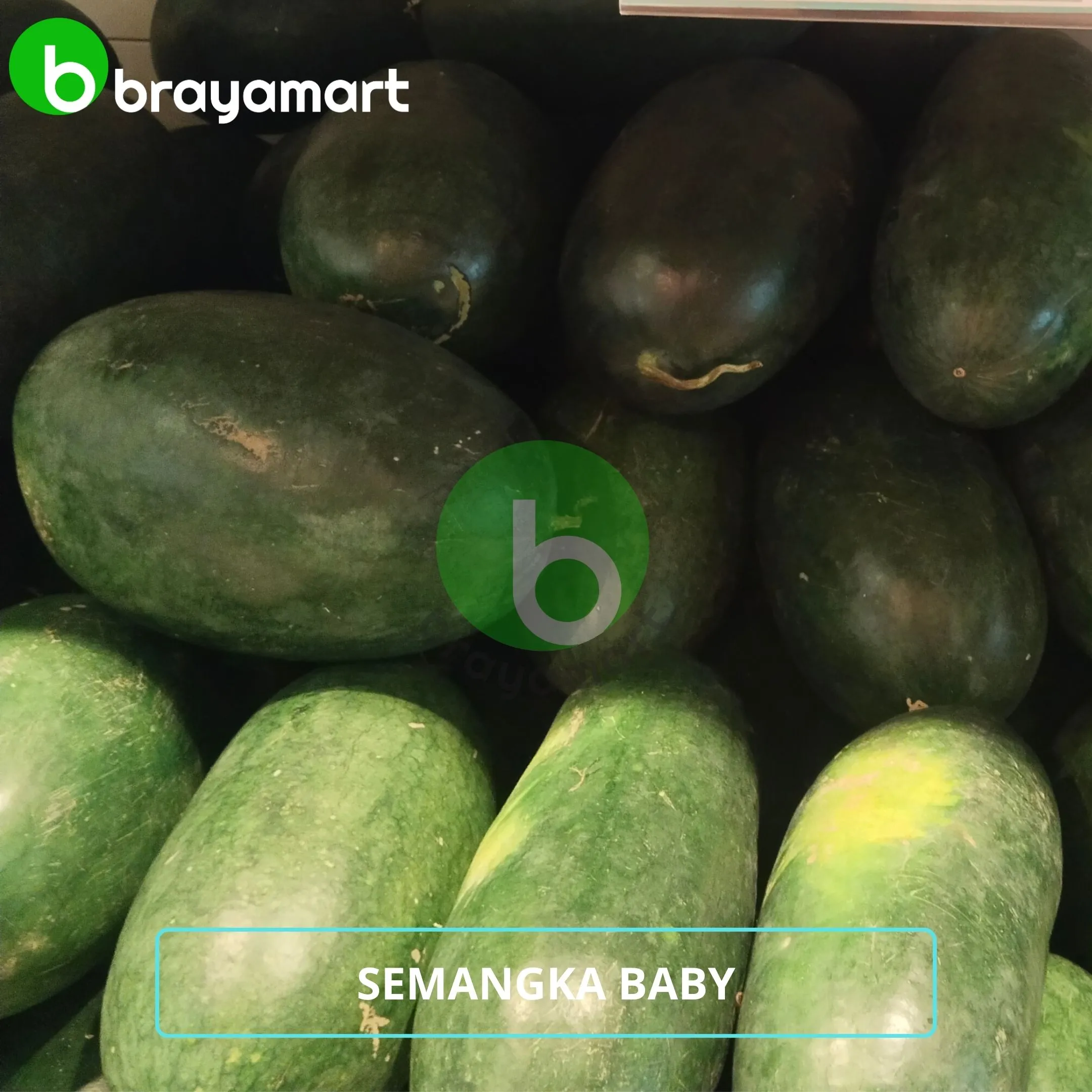 Semangka Baby