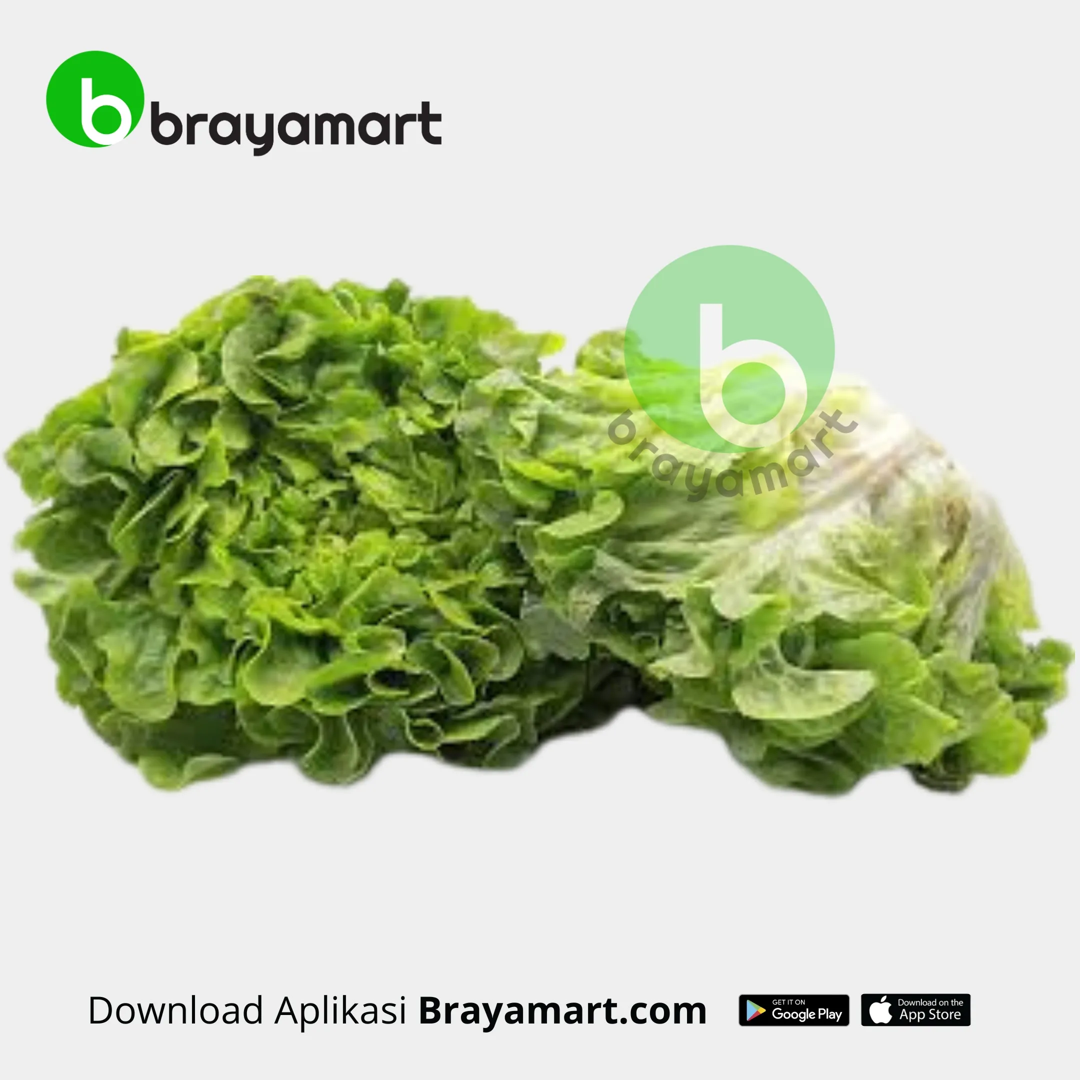 green oakleaf letture 150 gram