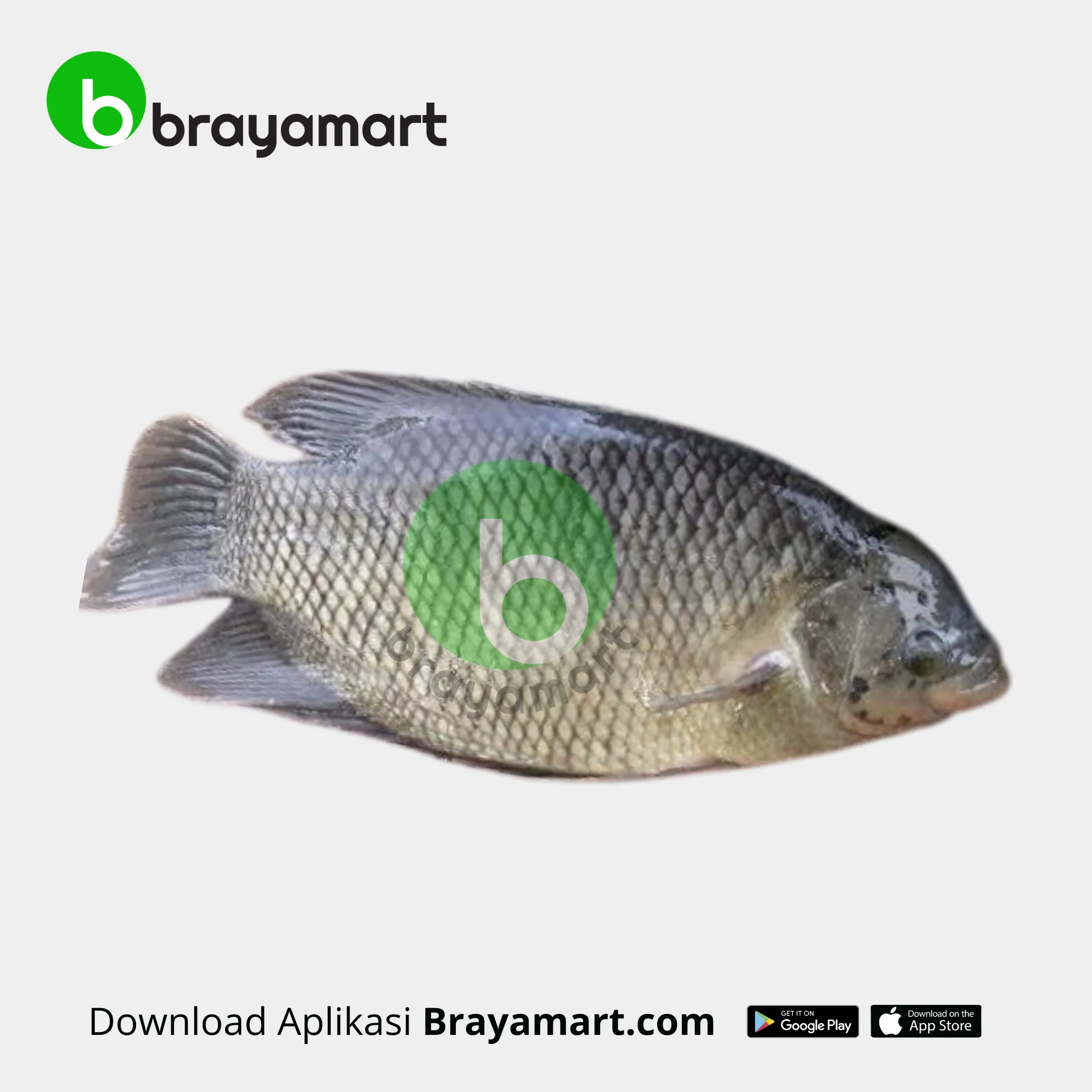 Ikan Gurame (1 Kg)
