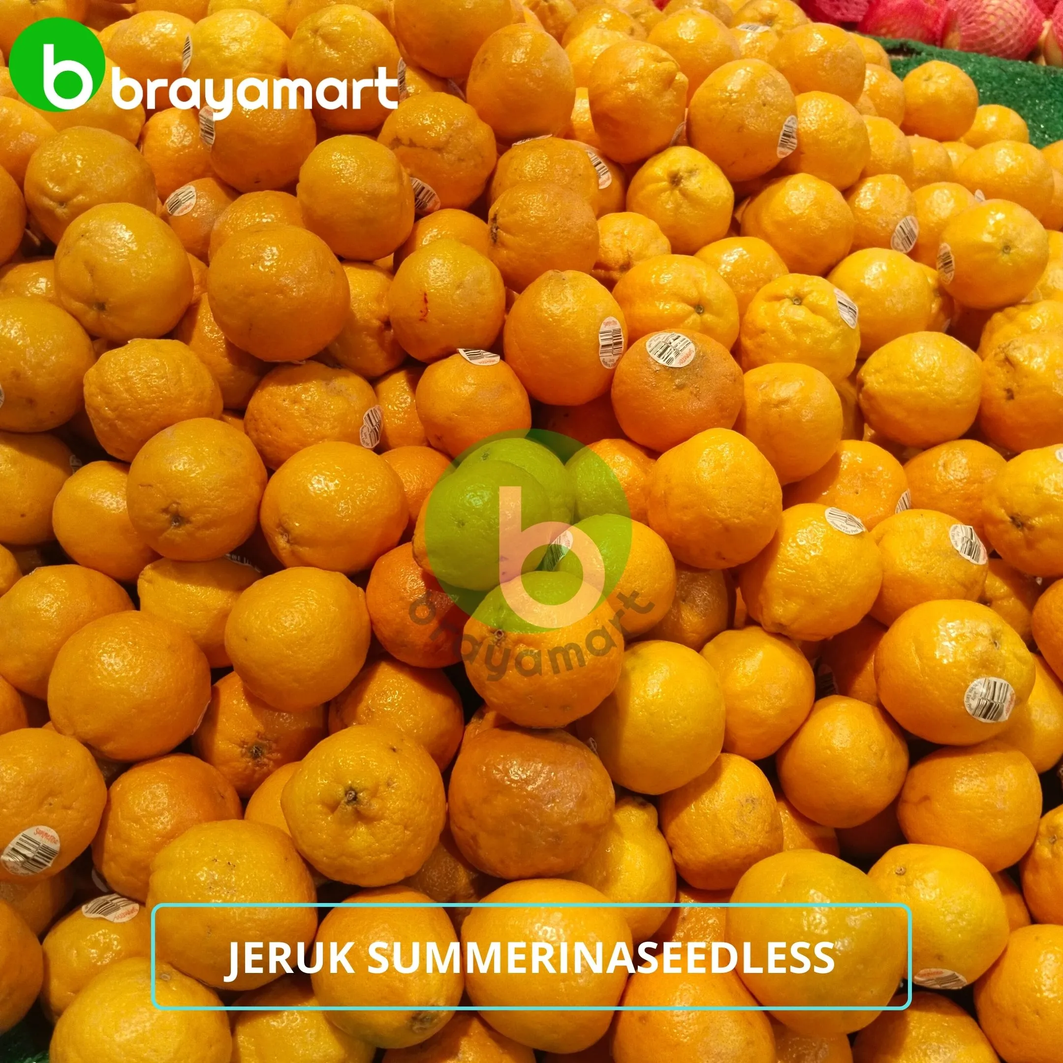 Jeruk Summerina Seedless