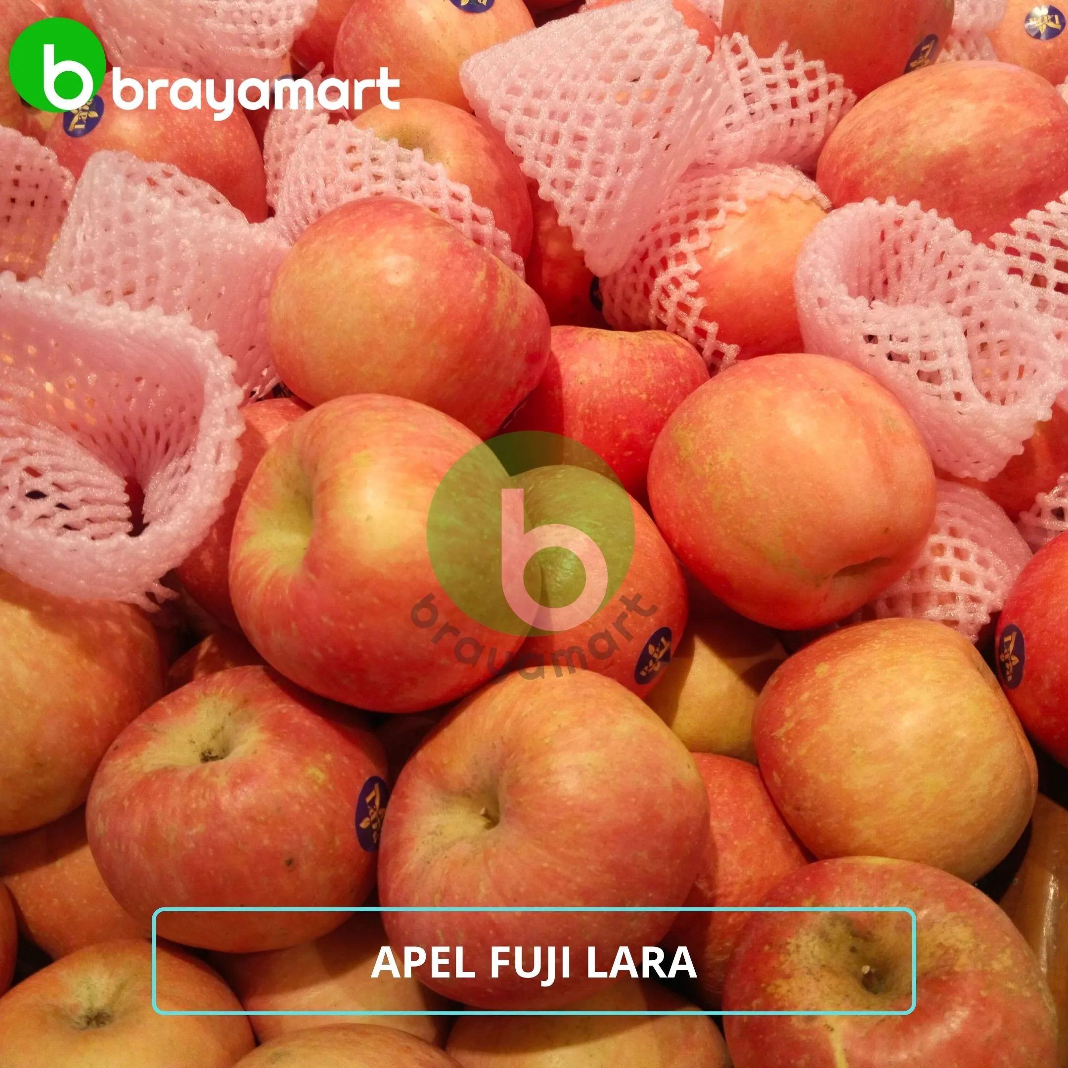 Apel Fuji Lara