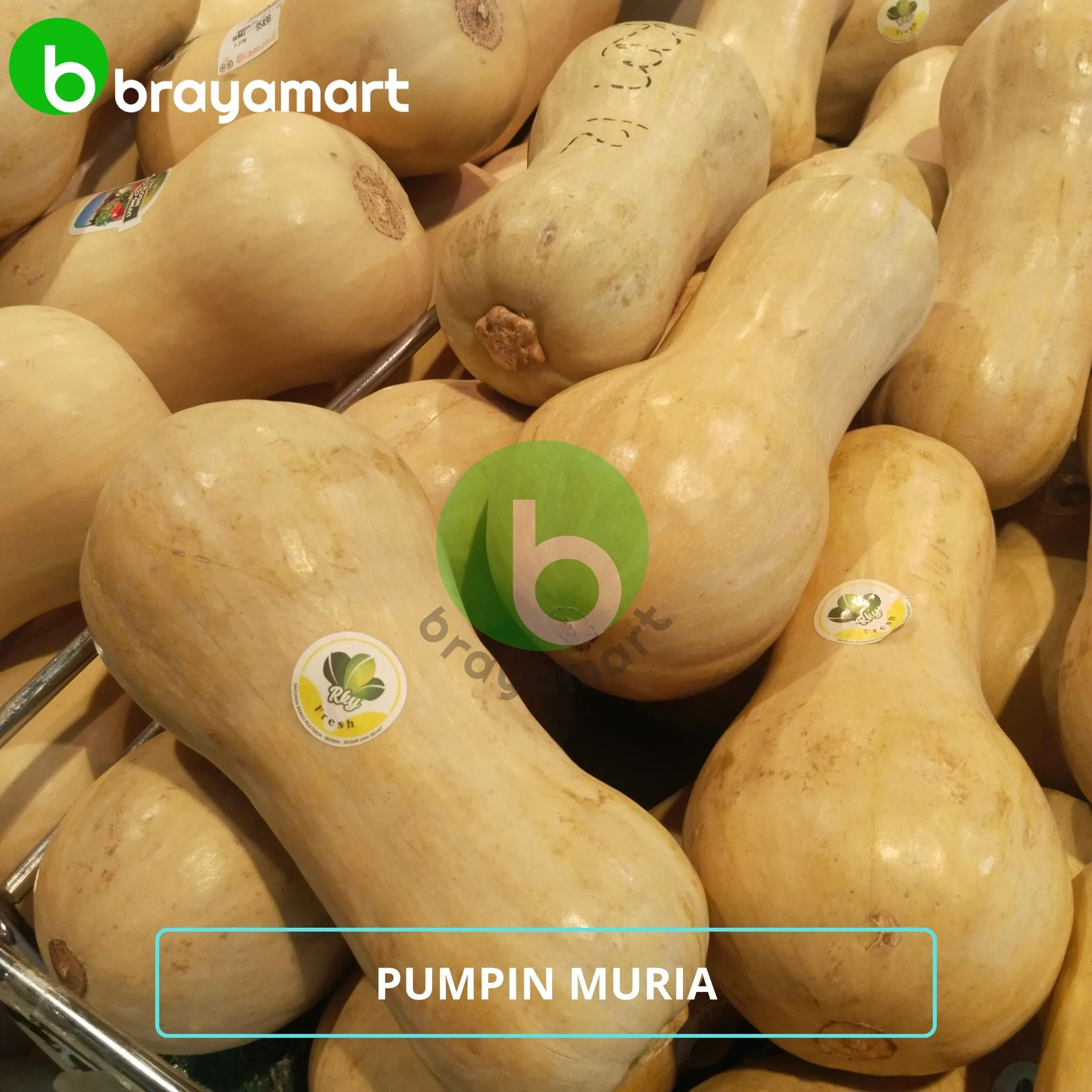 Pumpin Muria