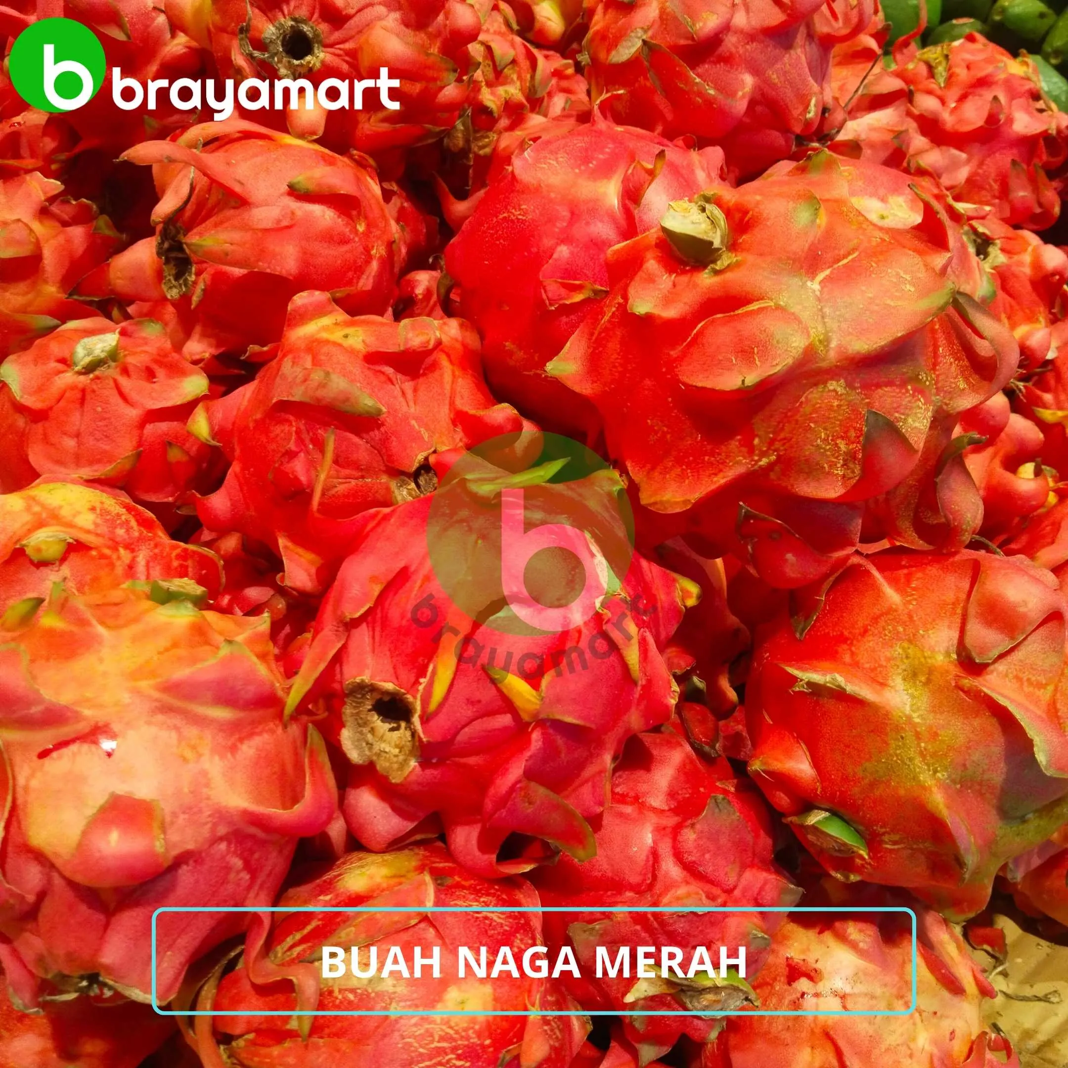 Buah Naga Merah 100 Gram