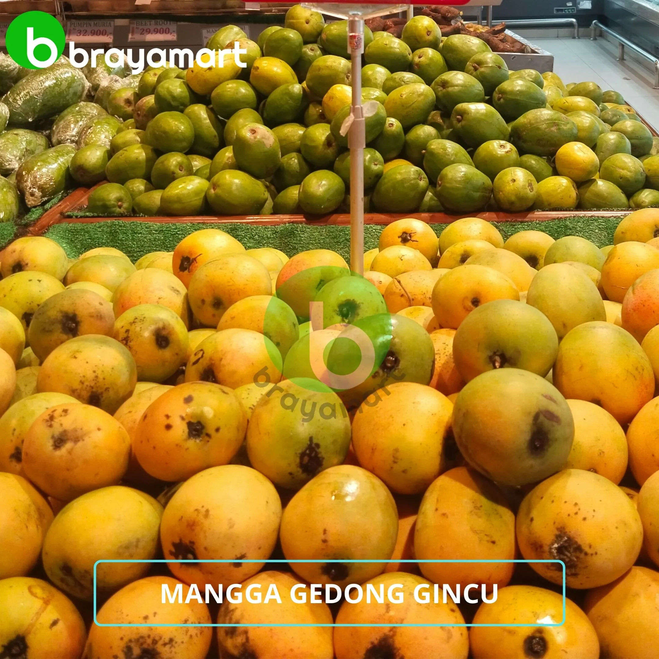 Mangga Gedong Gincu