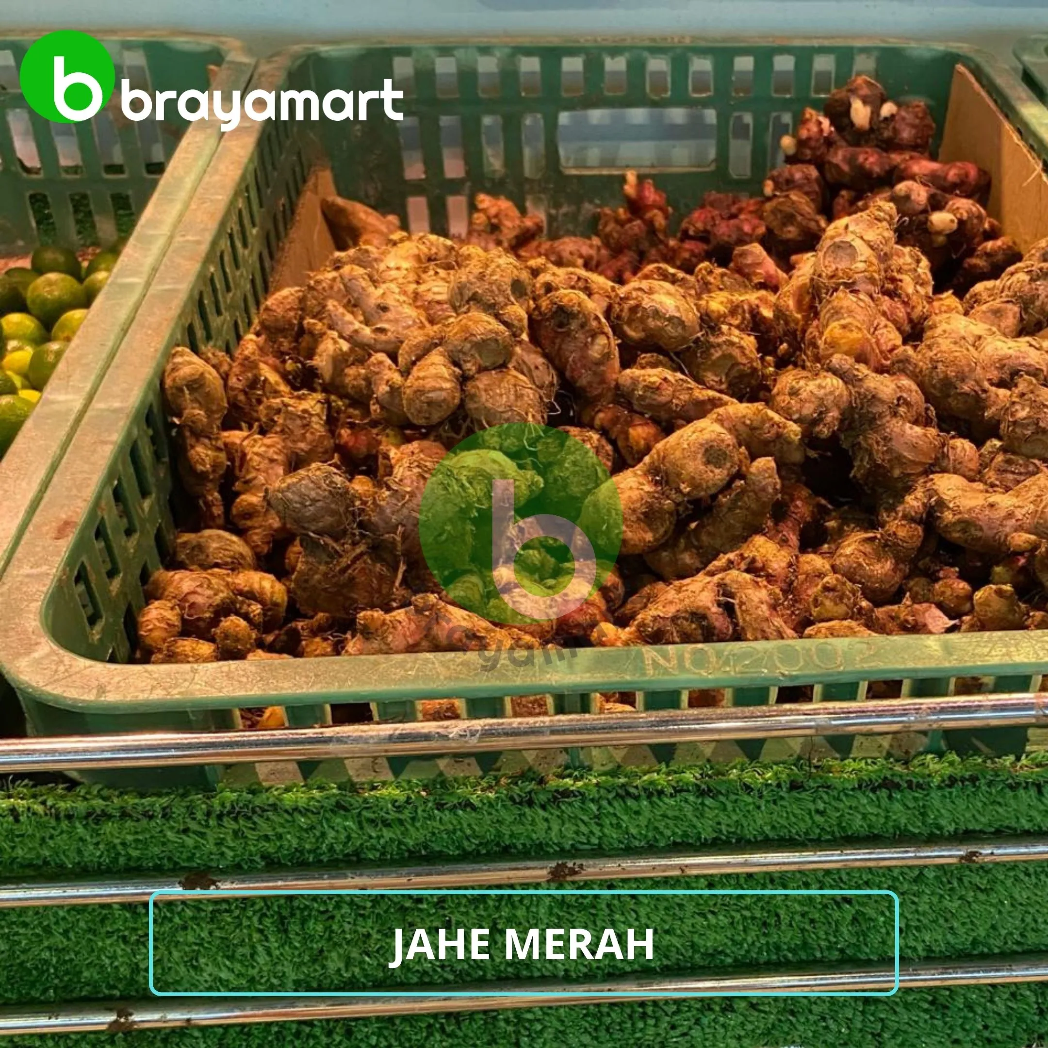 Jahe Merah (100 gr)