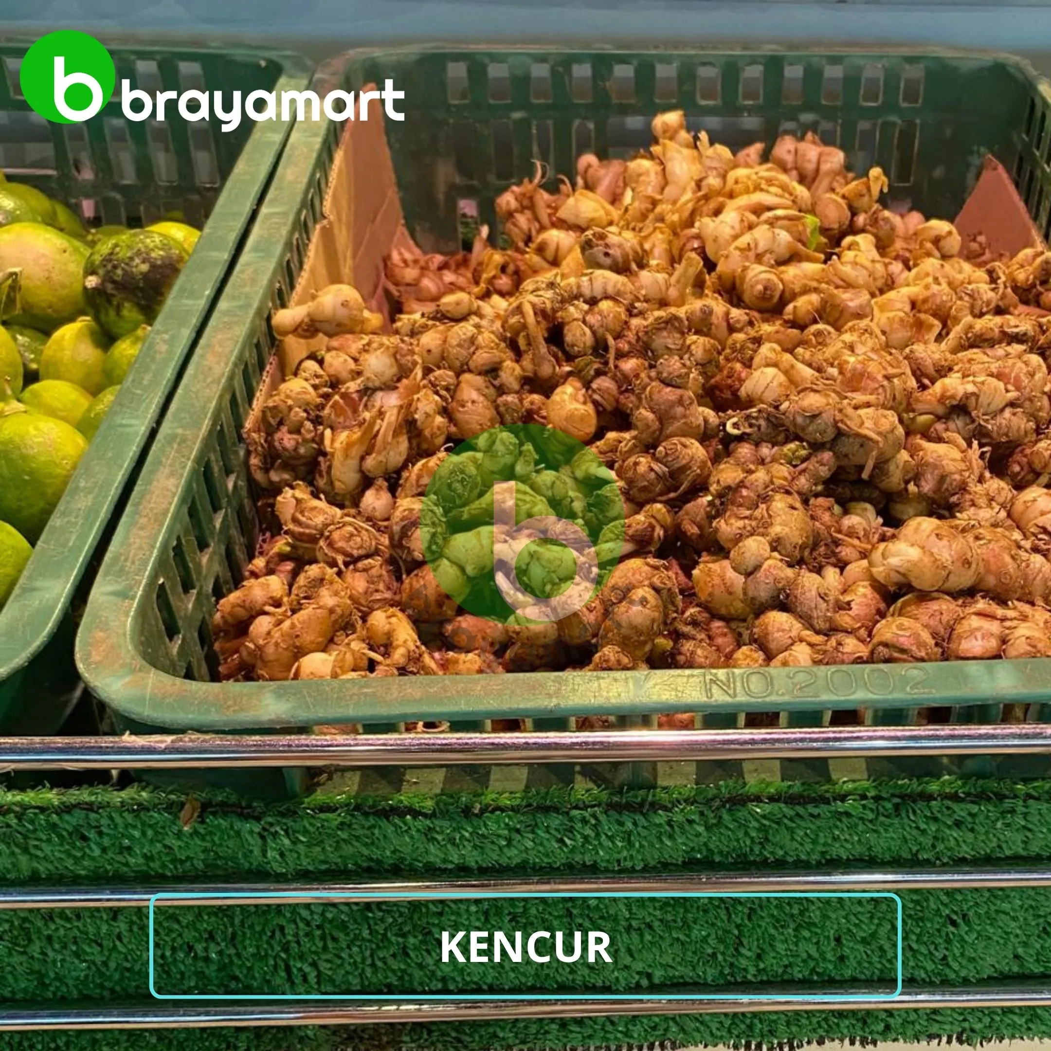 Kencur (100 gr)