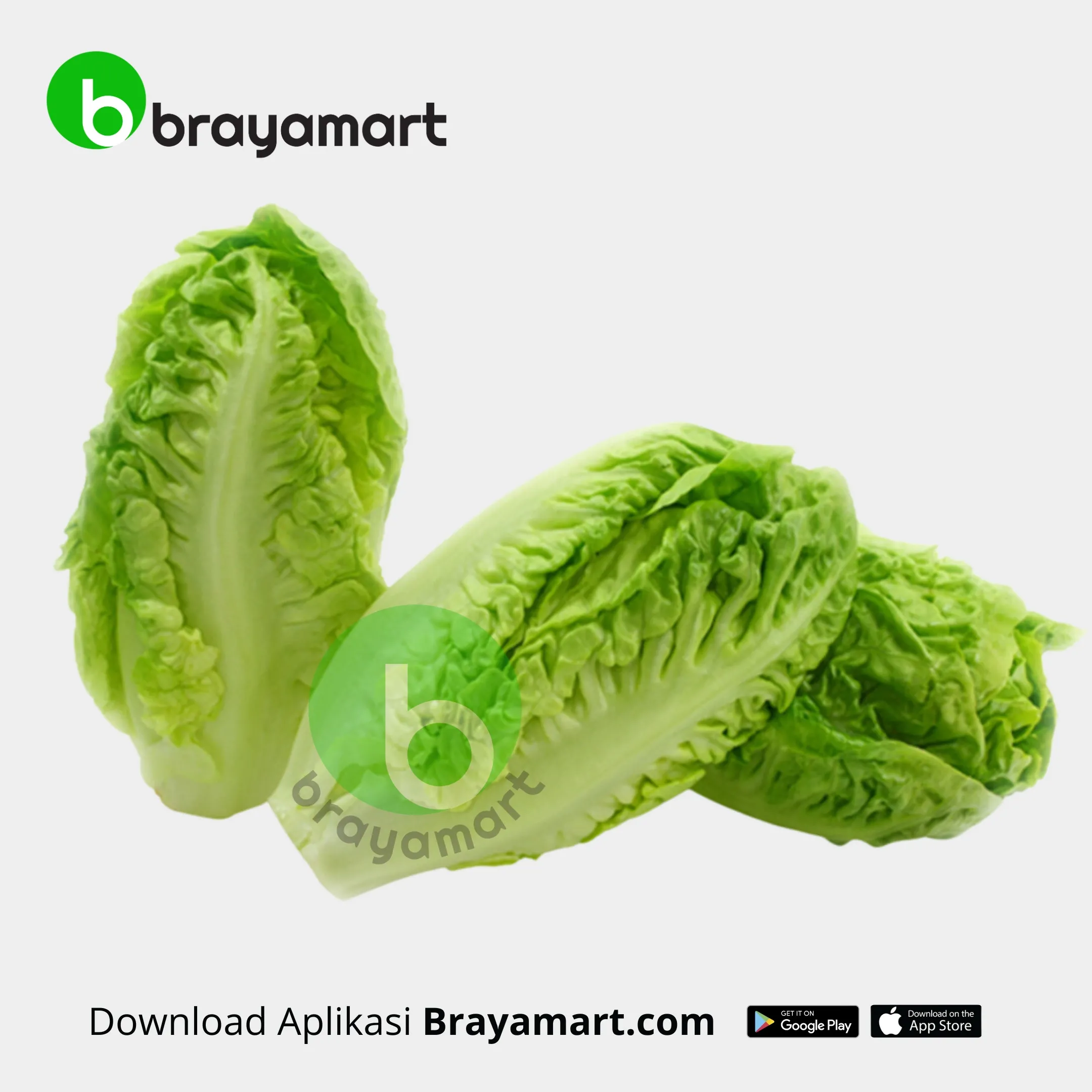 'baby romaine  salanova 250 gram'