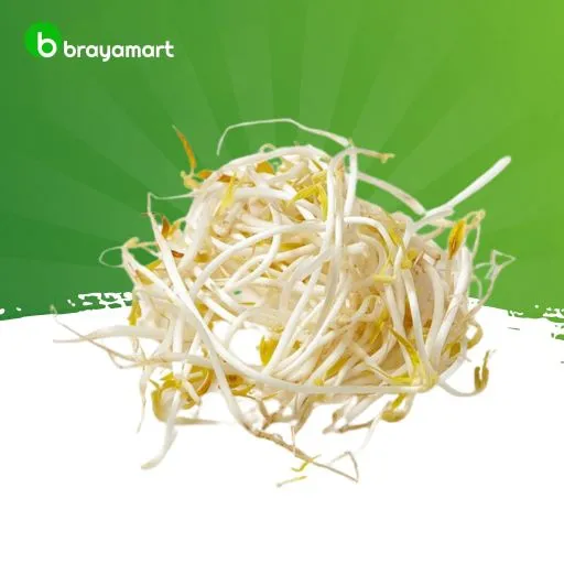 Bean Sprout / Moyashi / Kecambah