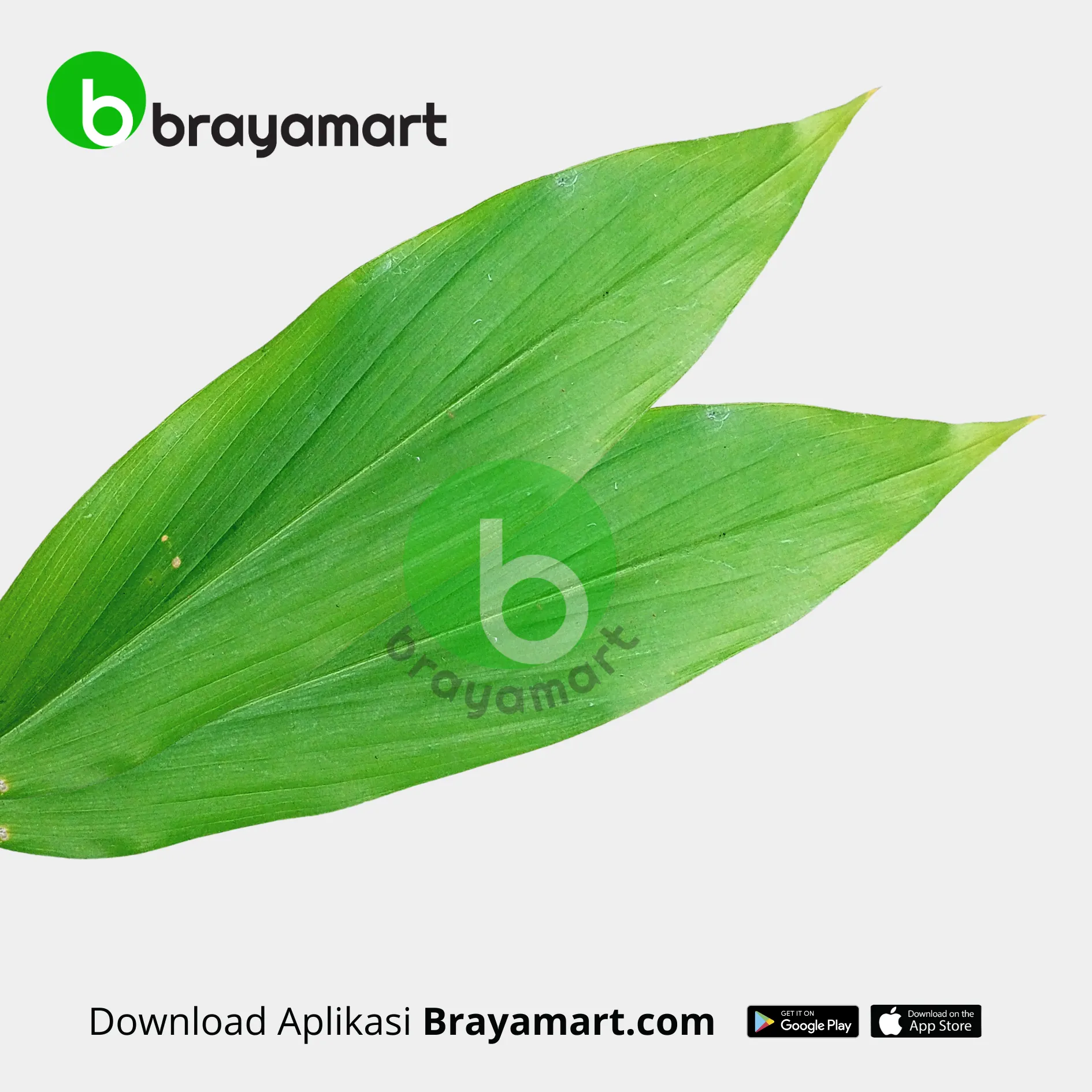 Daun Kunyit (10 gr)