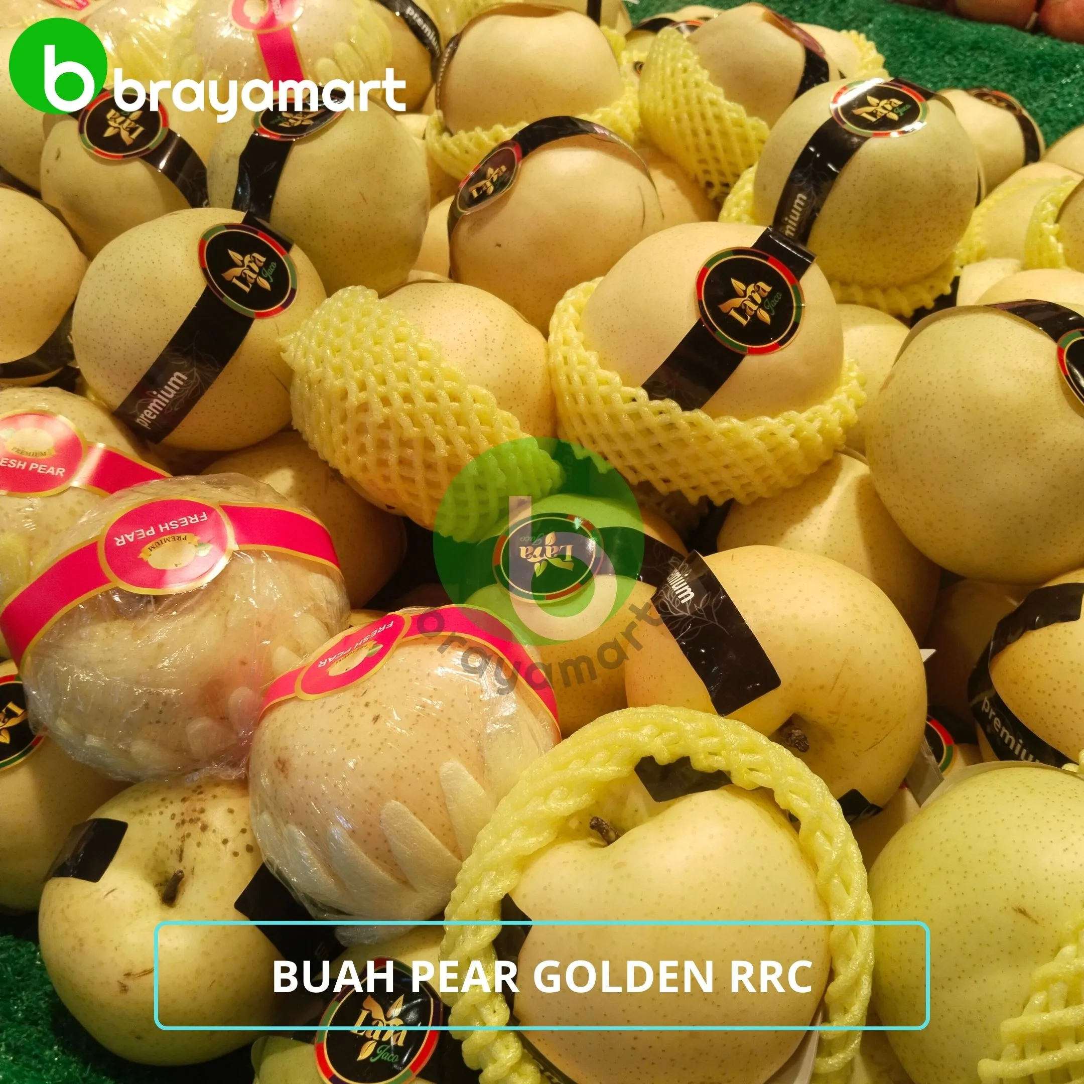 Buah Pear Golden RRC